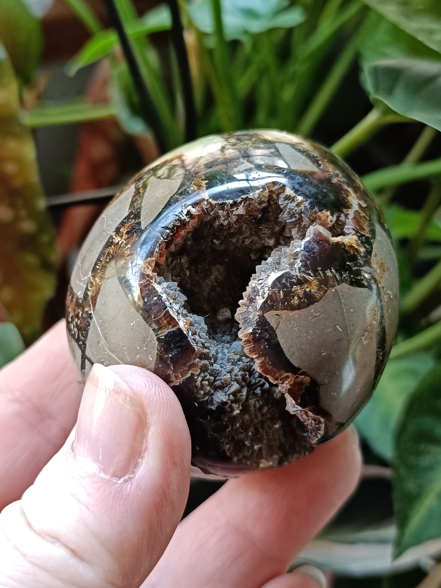 Septarian 'Dragon Stone' Egg - 225g