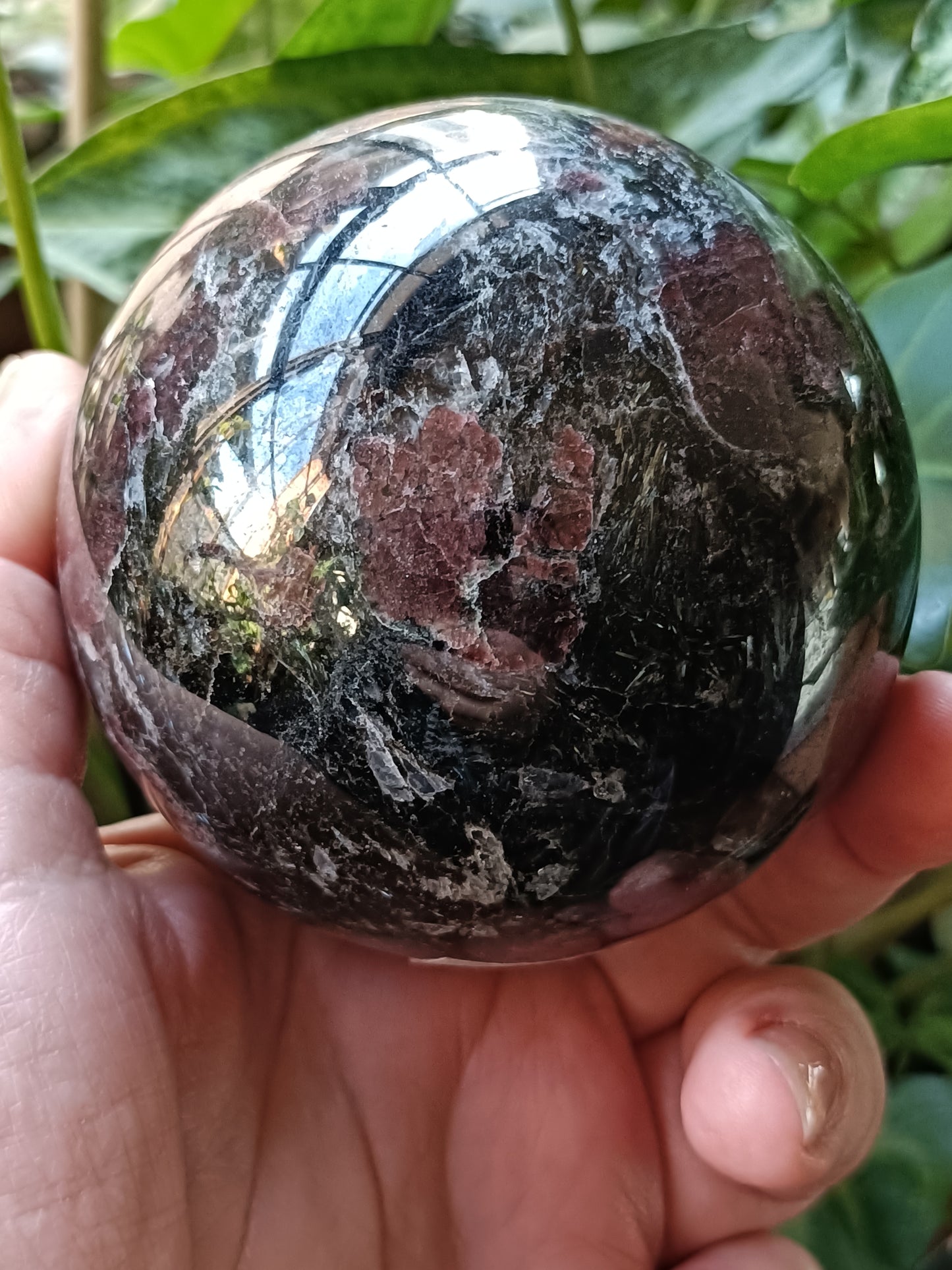 Garnet and Arfvedsonite Sphere - 841g