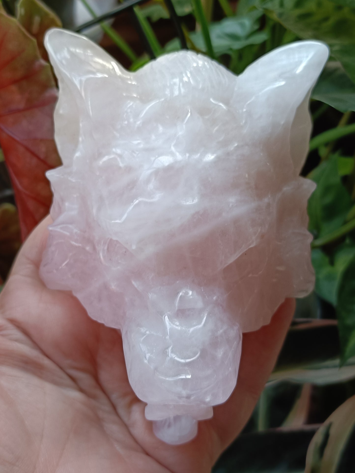 Rose Quartz Wolf Head Carving - 518g