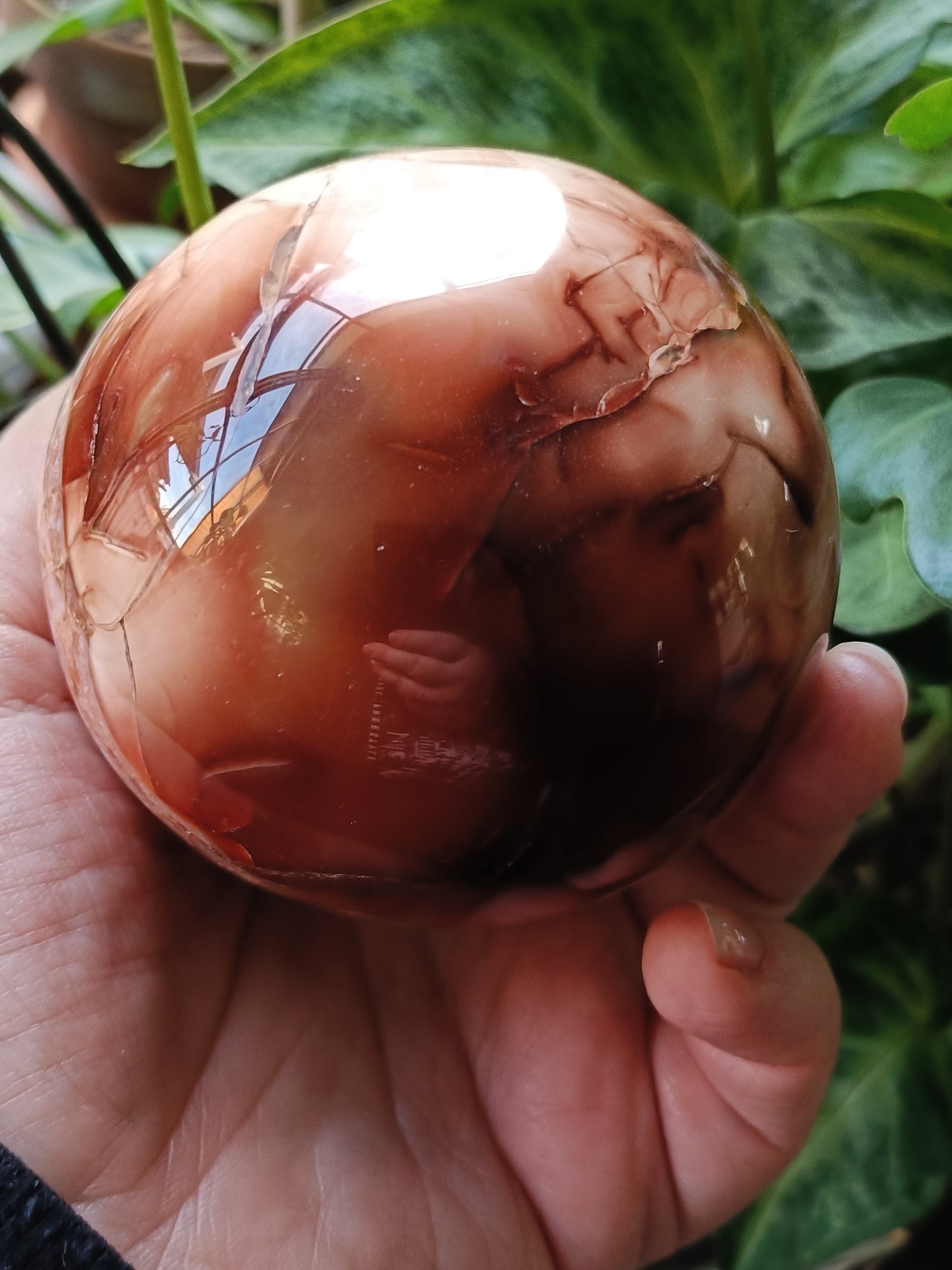 Carnelian Druzy Sphere - 619g