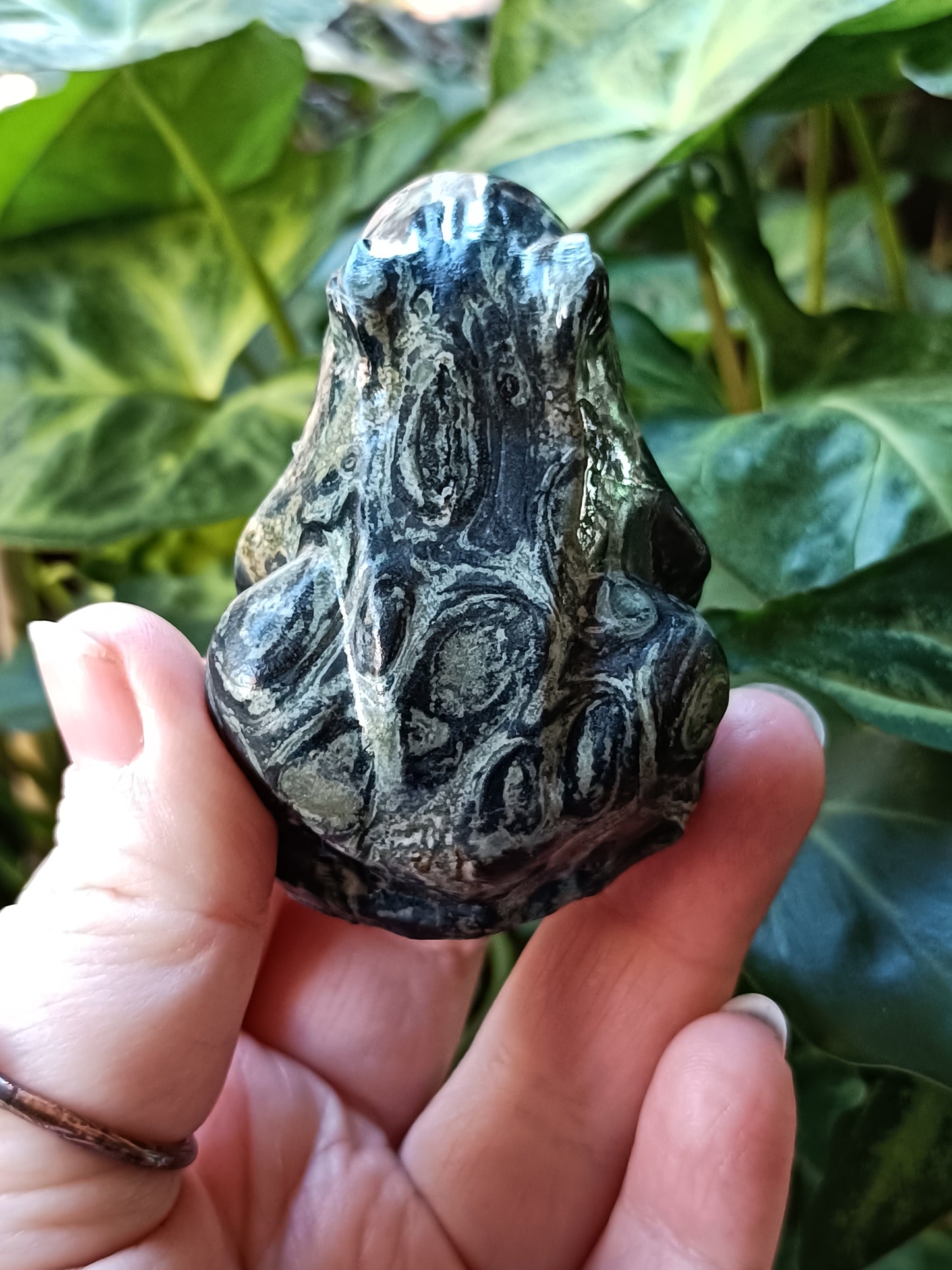 Kambaba Jasper Frog - 120-140g