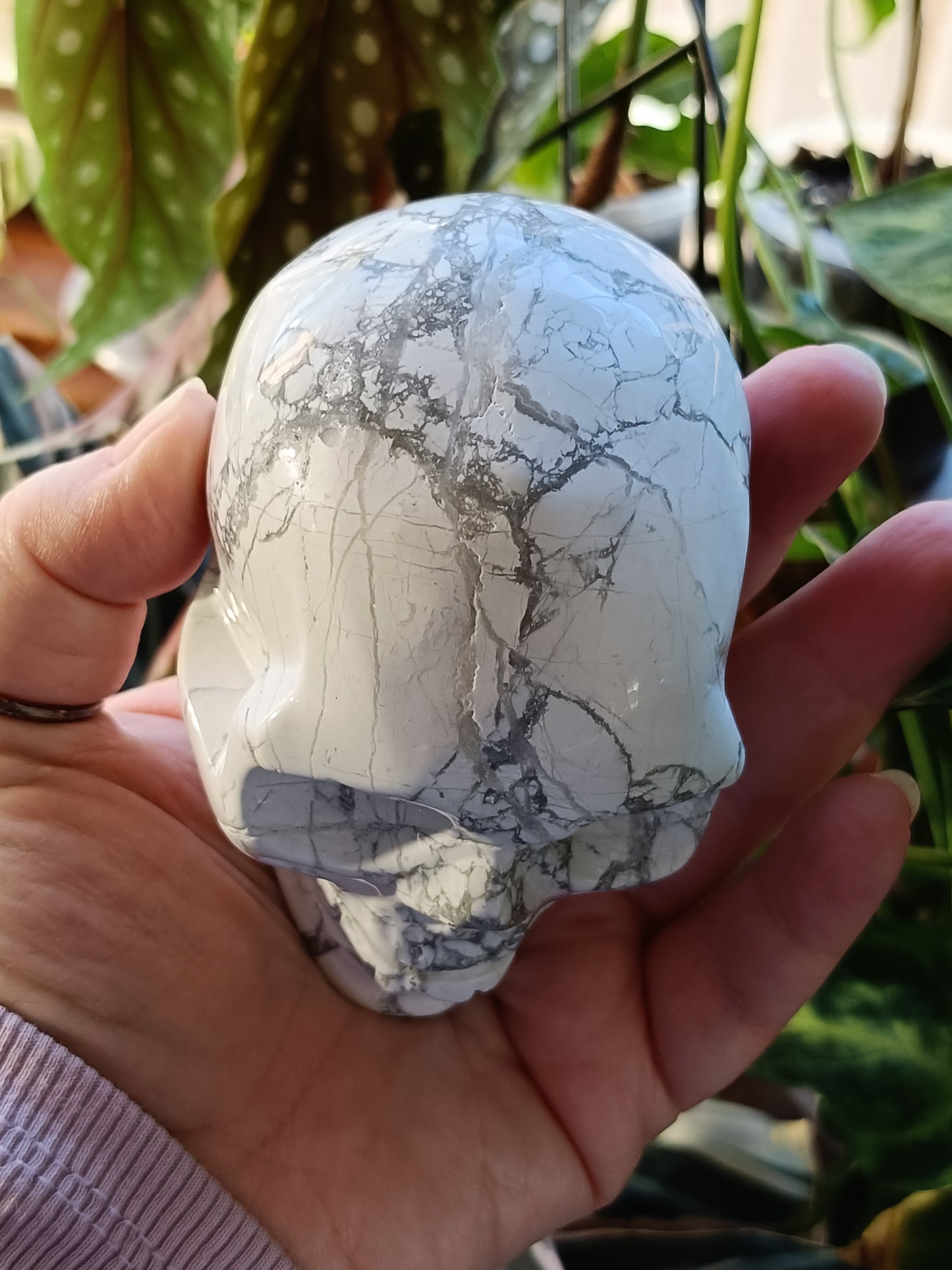 Howlite Skull Carving - 684g