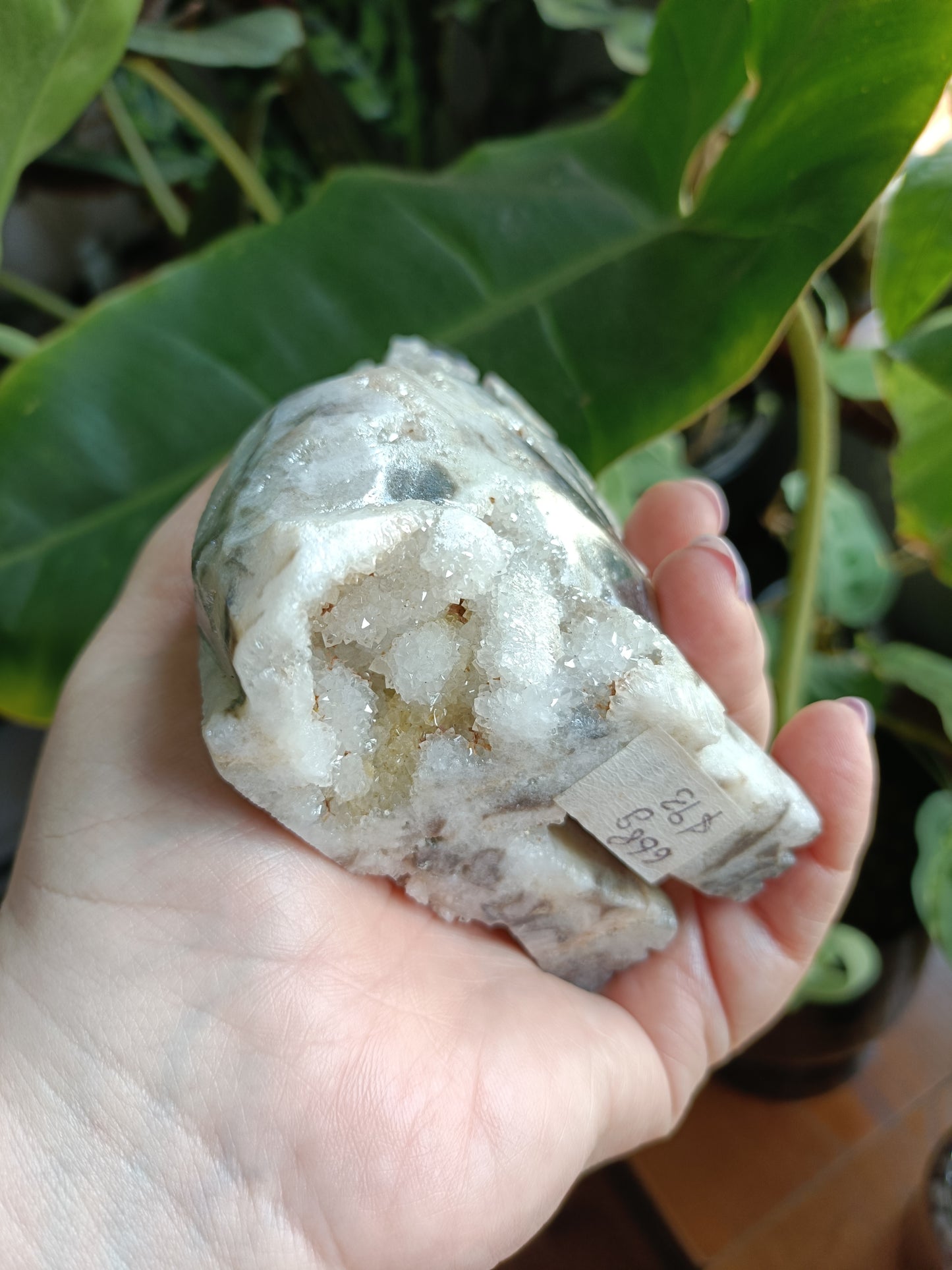 Aura Coated Brecciated Quartz Chalcedony Wolf - 668g