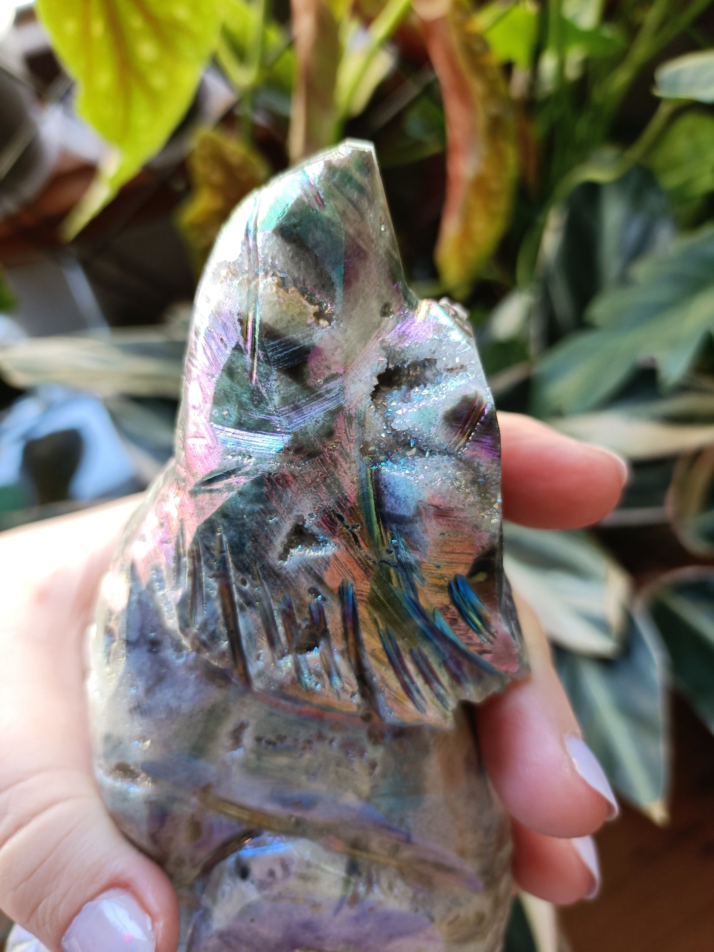 Aura Coated Brecciated Quartz Chalcedony Wolf - 787g