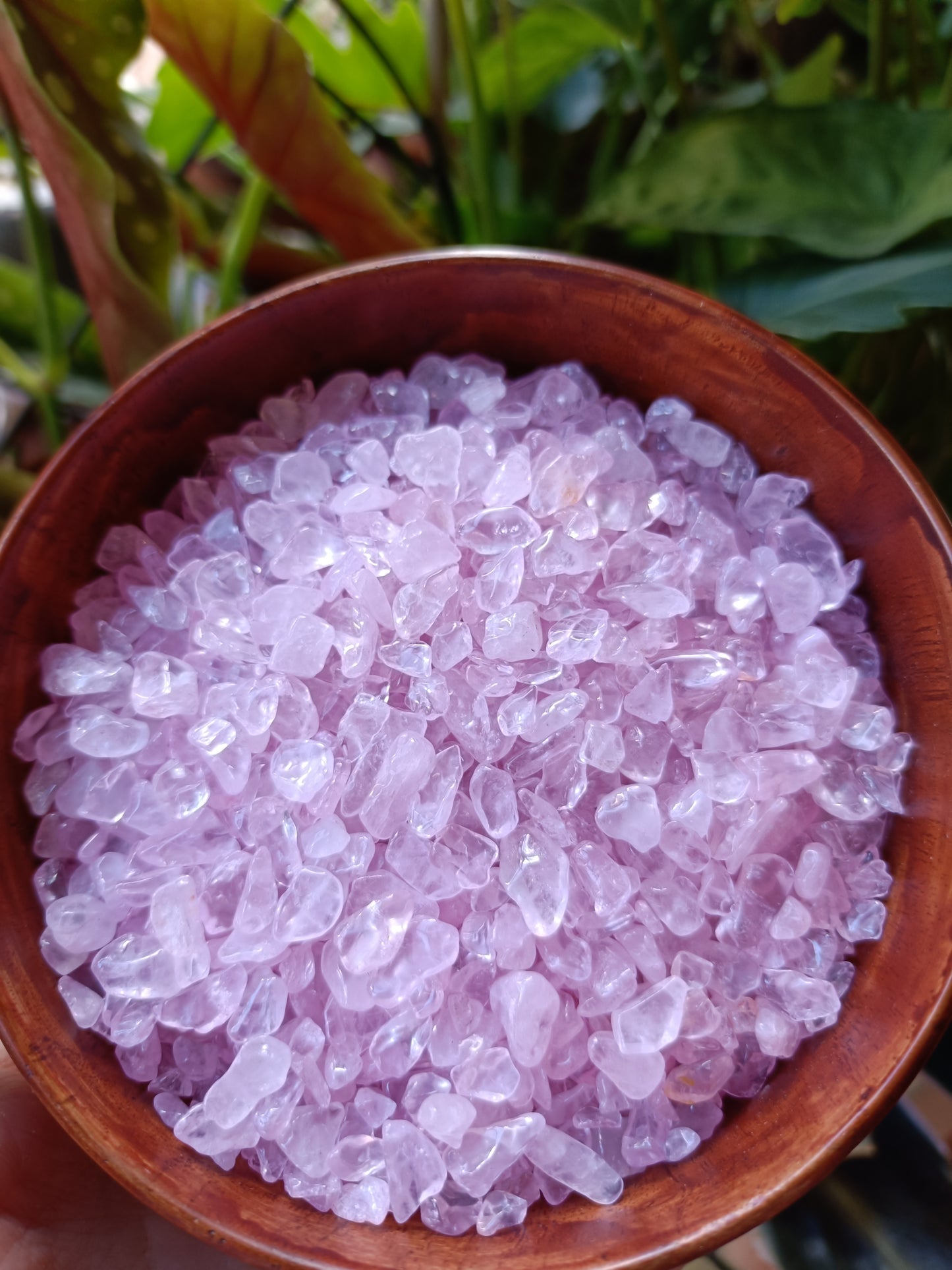 Rose Quartz Polished Chips - 50g