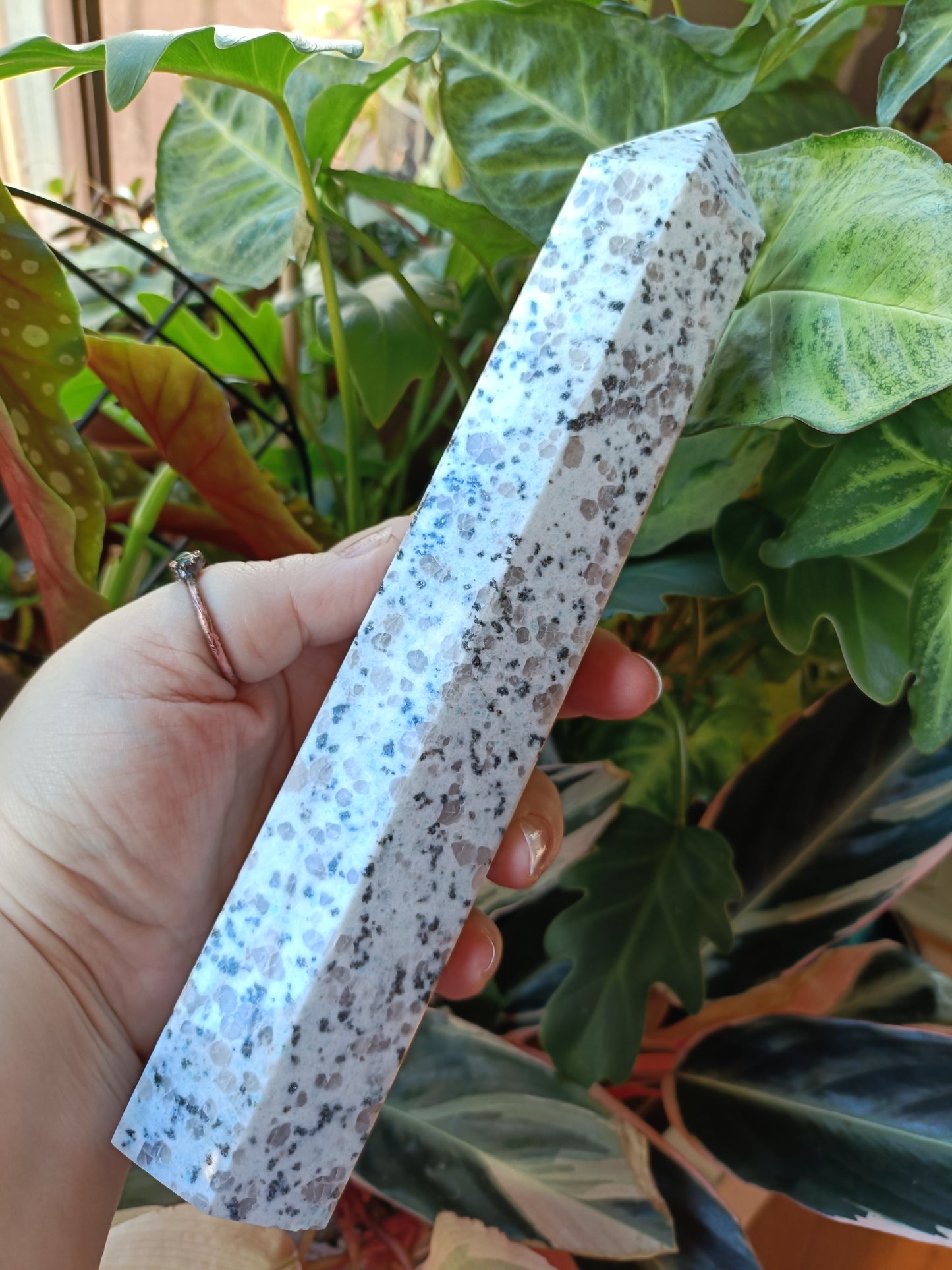 Kiwi Jasper Tower - 850g