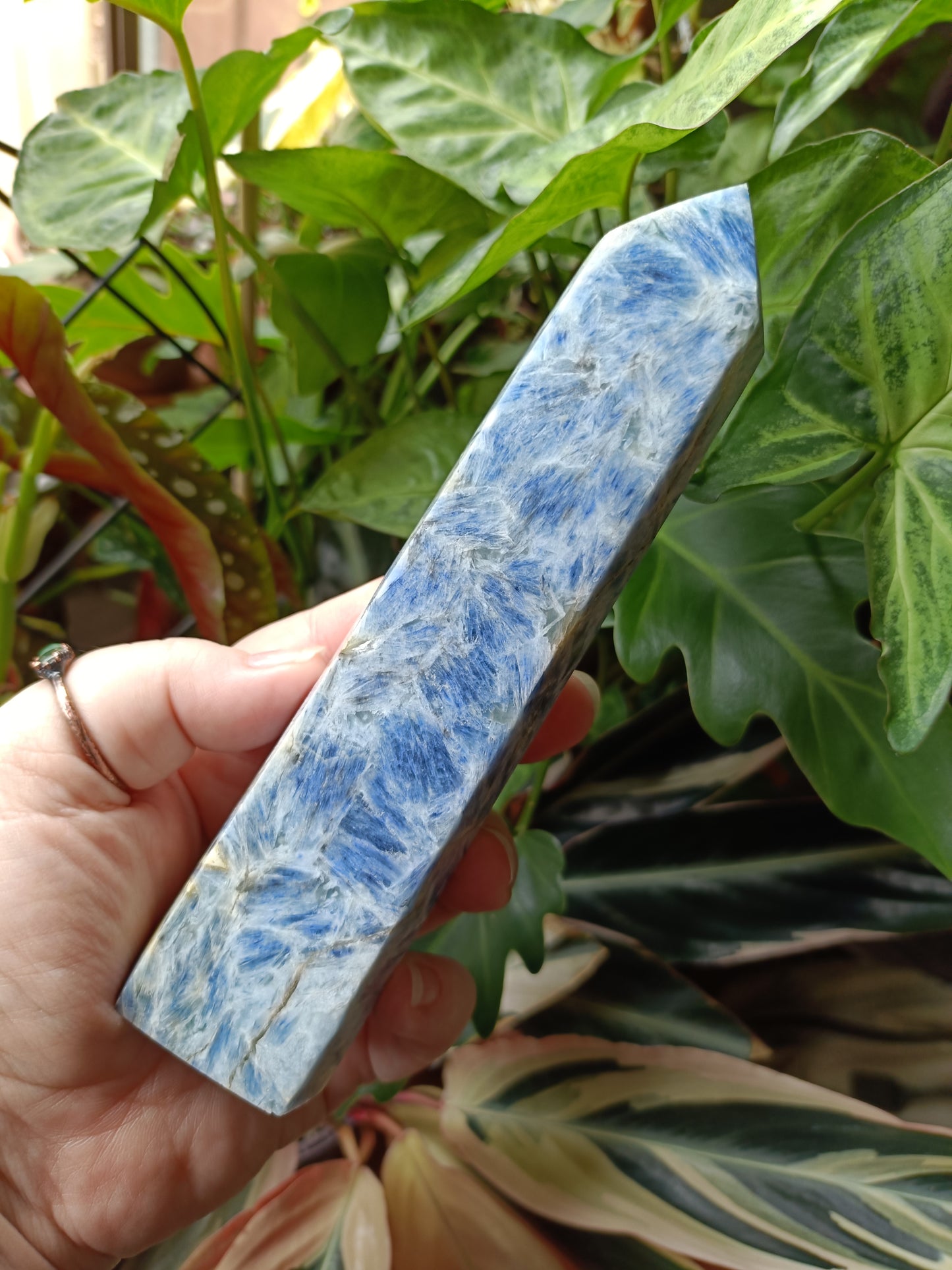 Blue Kyanite Tower - 523g (B Grade)