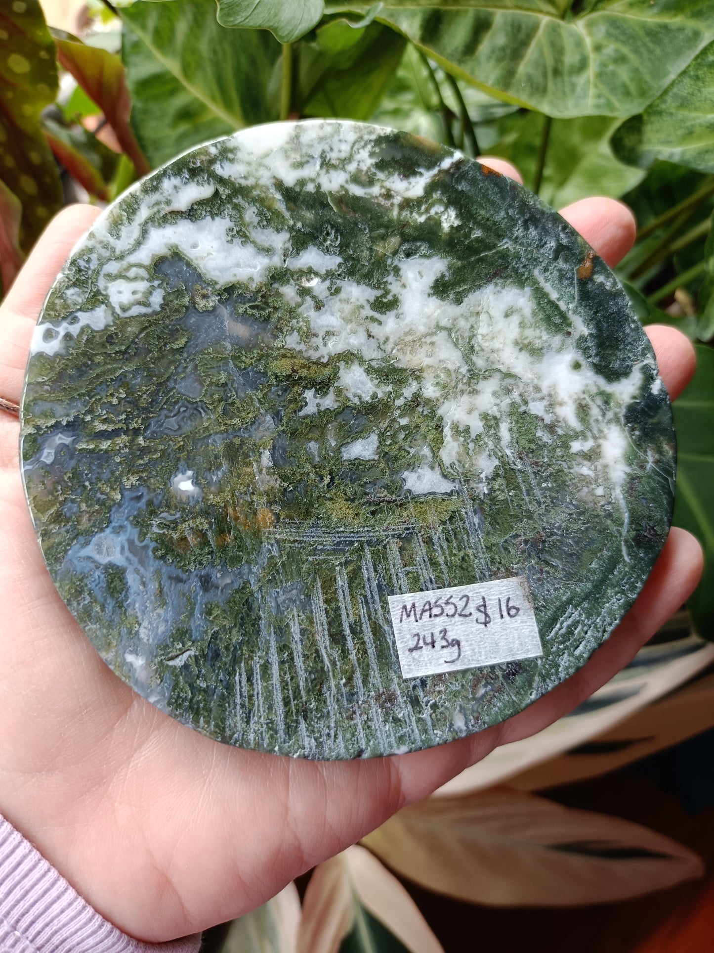 Moss Agate Polished Disc - 243g