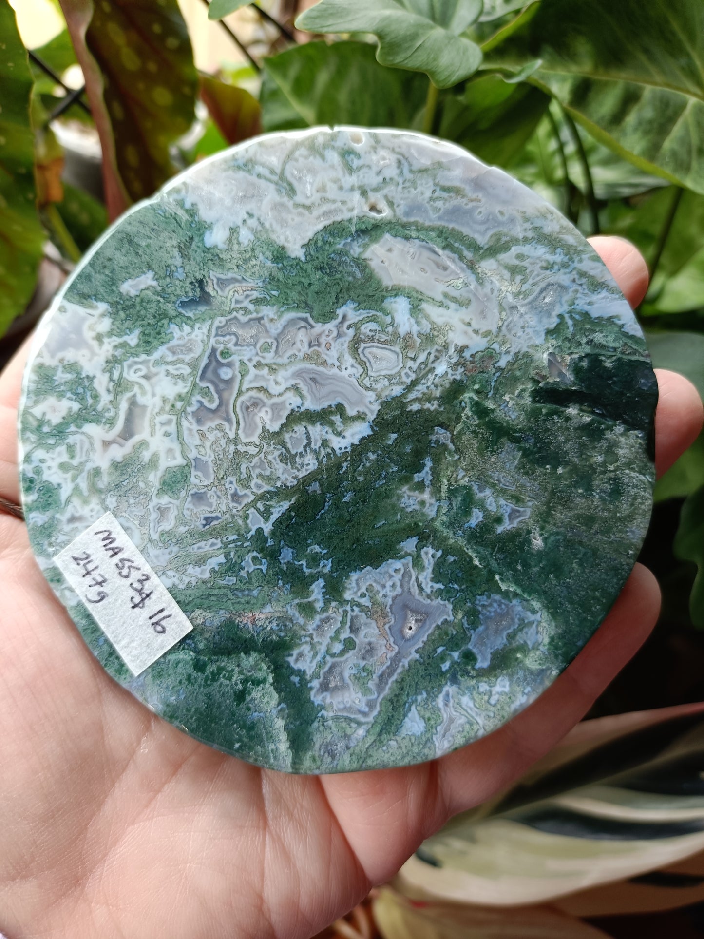 Moss Agate Polished Disc - 247g