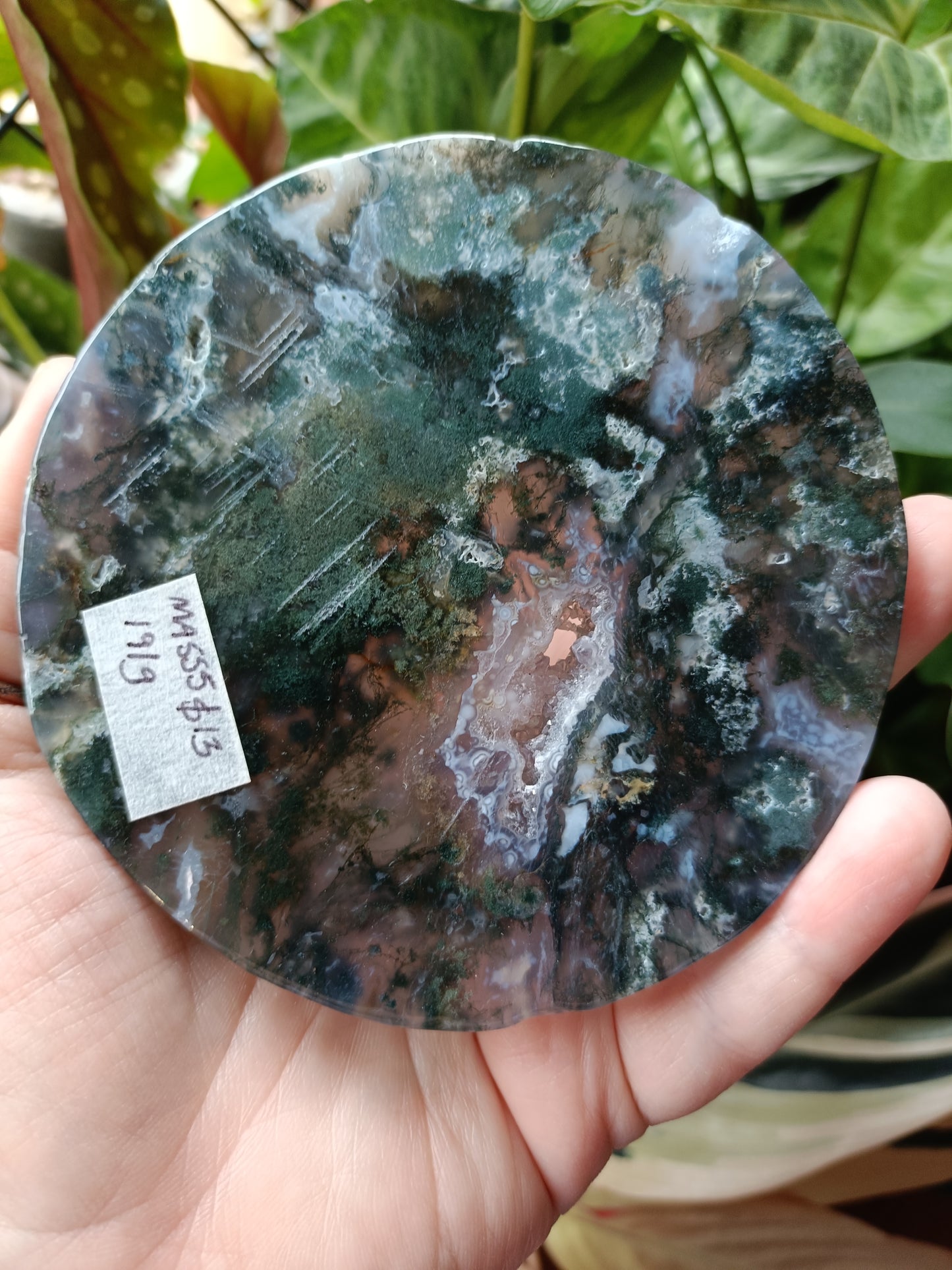 Moss Agate Polished Disc - 191g