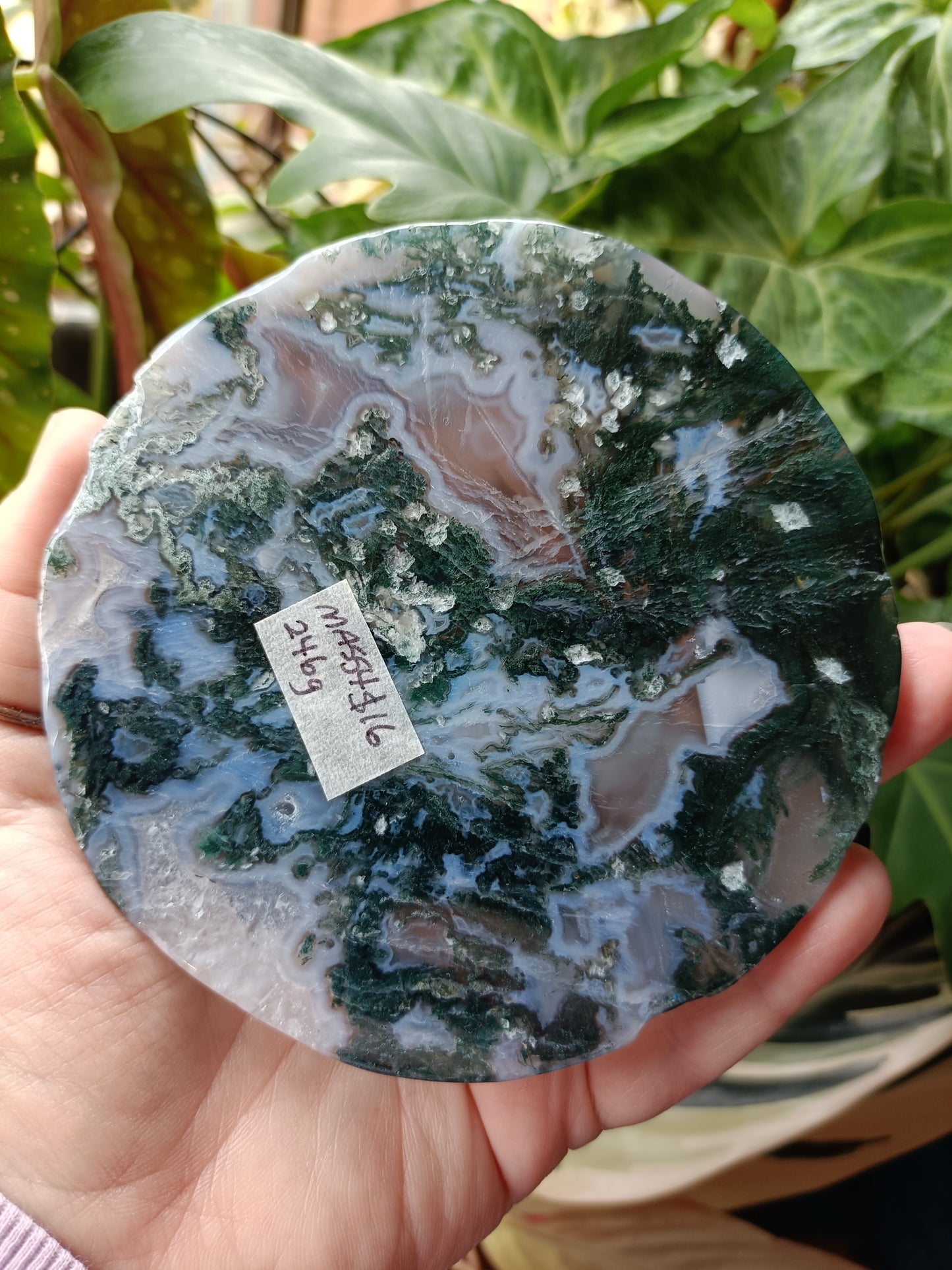 Moss Agate Polished Disc - 246g