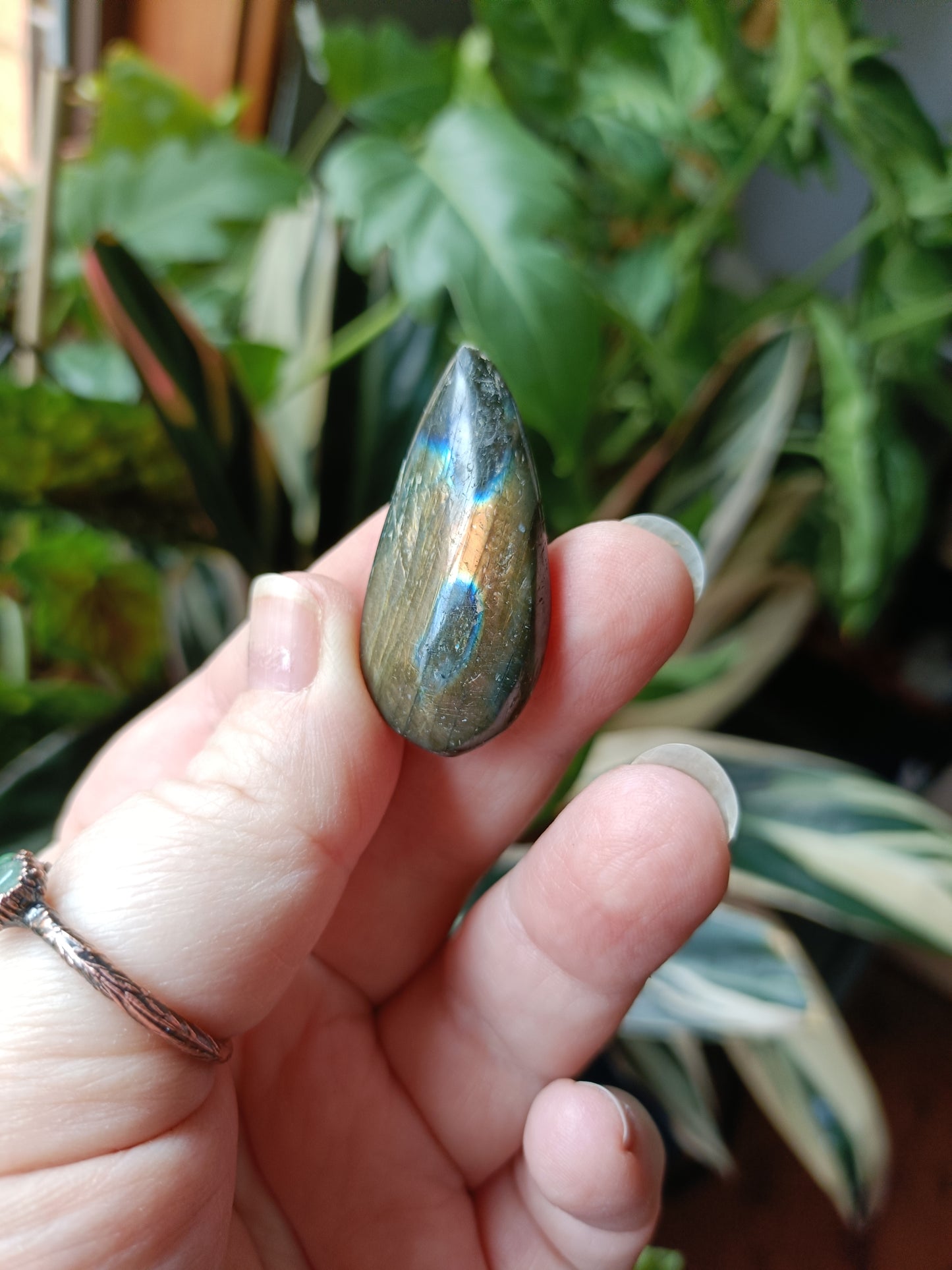 Labradorite Teardrops - 30-60g