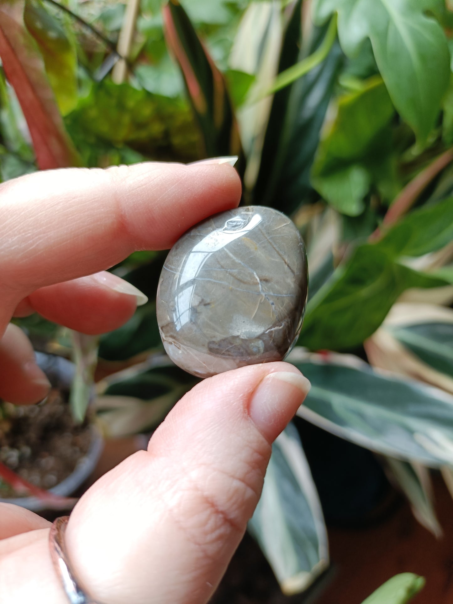 Volcanic Agate Tumbles (Clearance) - 15-25g