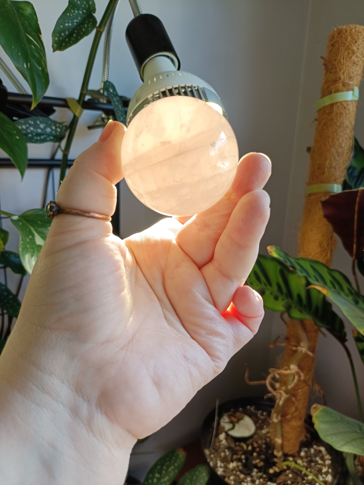 Rose Quartz Sphere - 214g