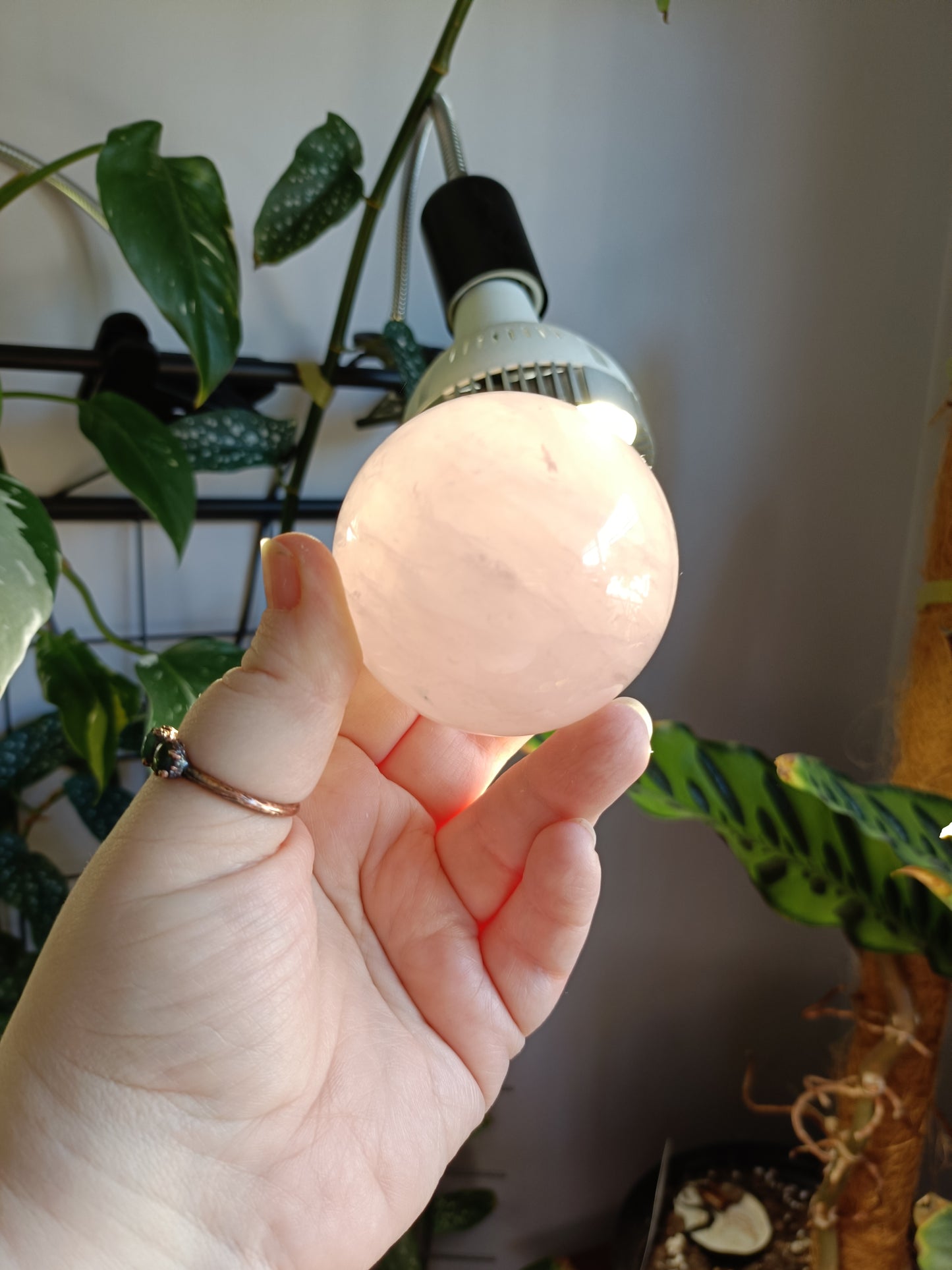 Rose Quartz Sphere - 347g