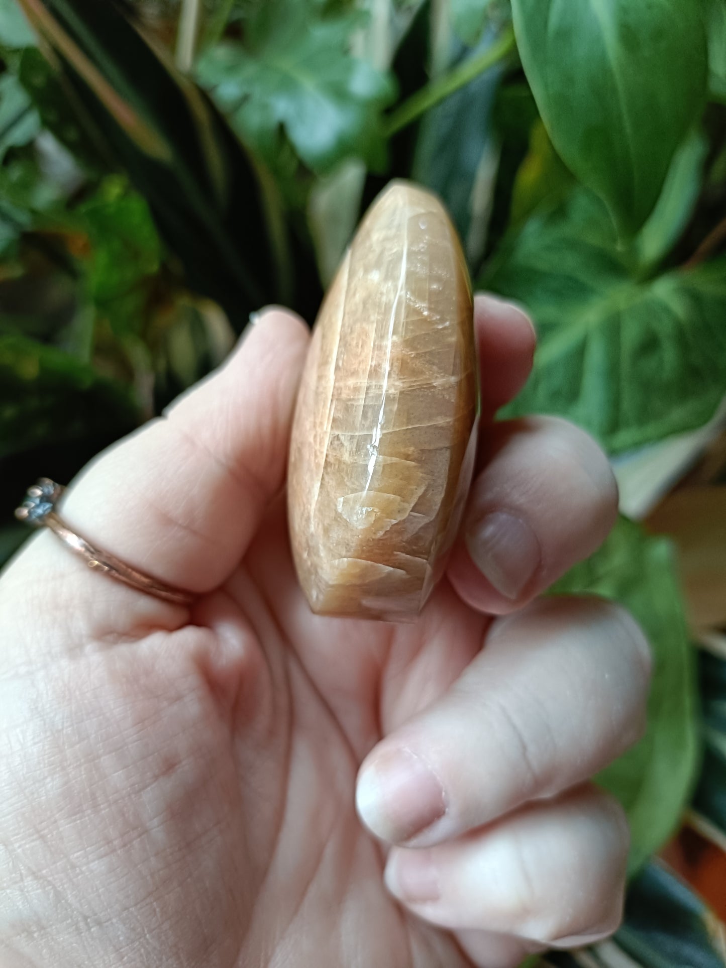 Peach Moonstone Teardrop Carvings - 105g