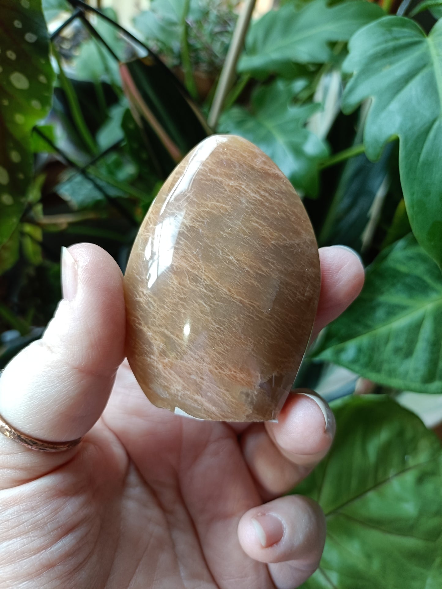 Peach Moonstone Teardrop Carvings - 114g