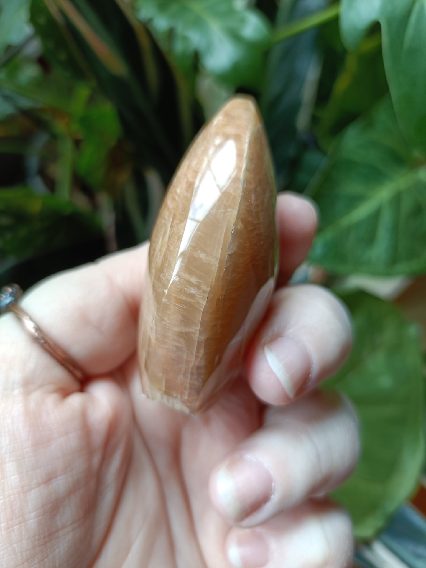 Peach Moonstone Teardrop Carvings - 128g