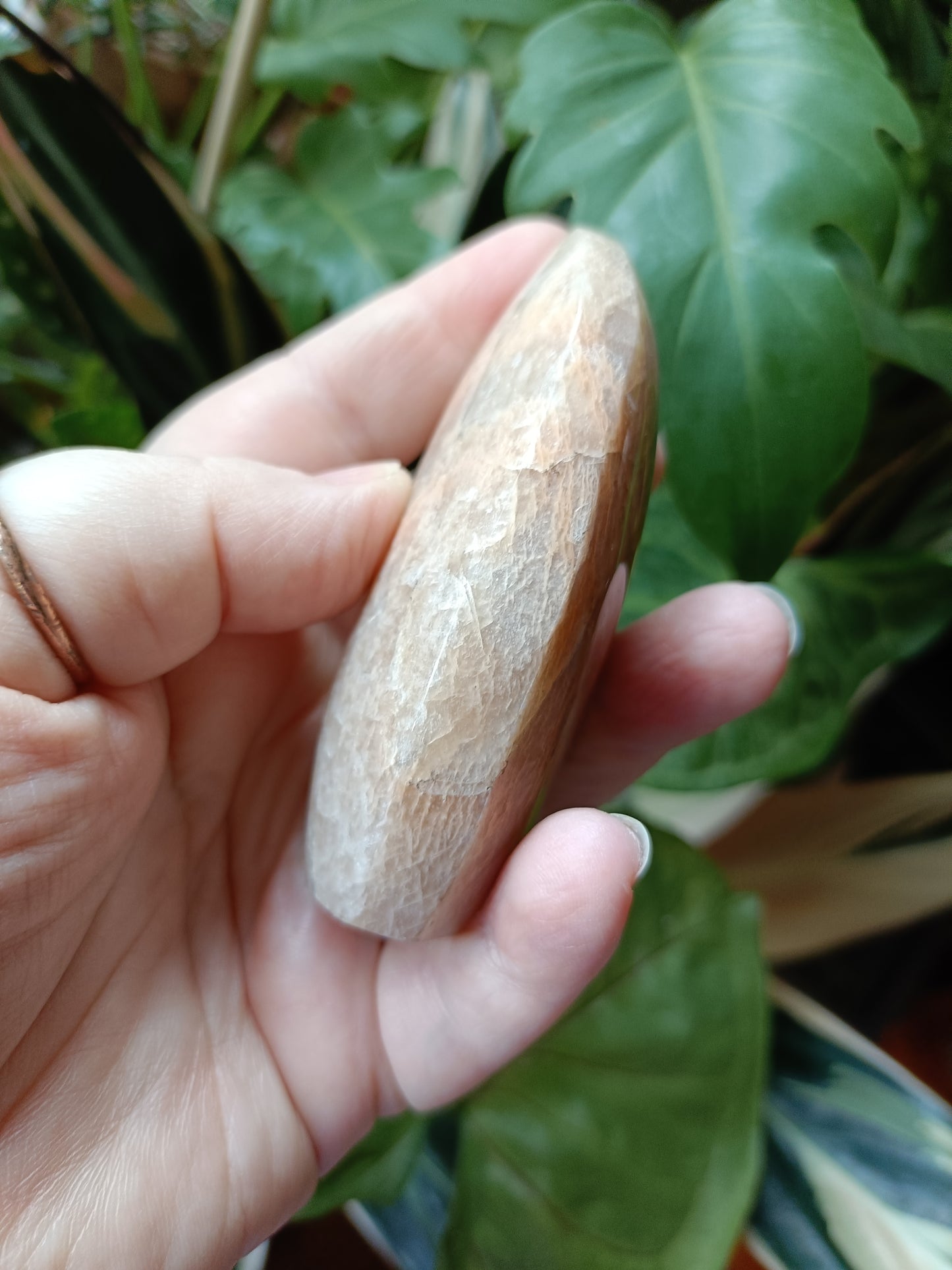 Peach Moonstone Teardrop Carvings - 194g