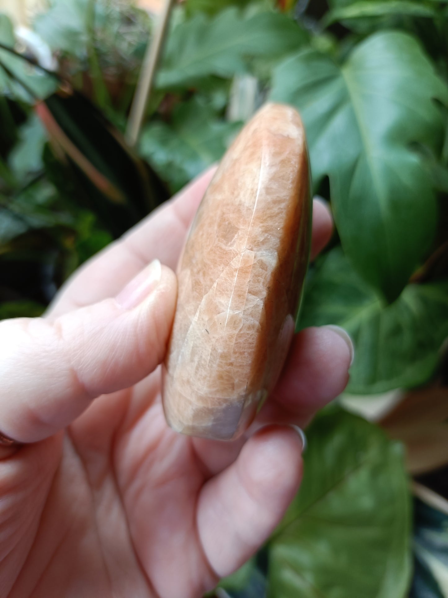 Peach Moonstone Teardrop Carvings - 171g