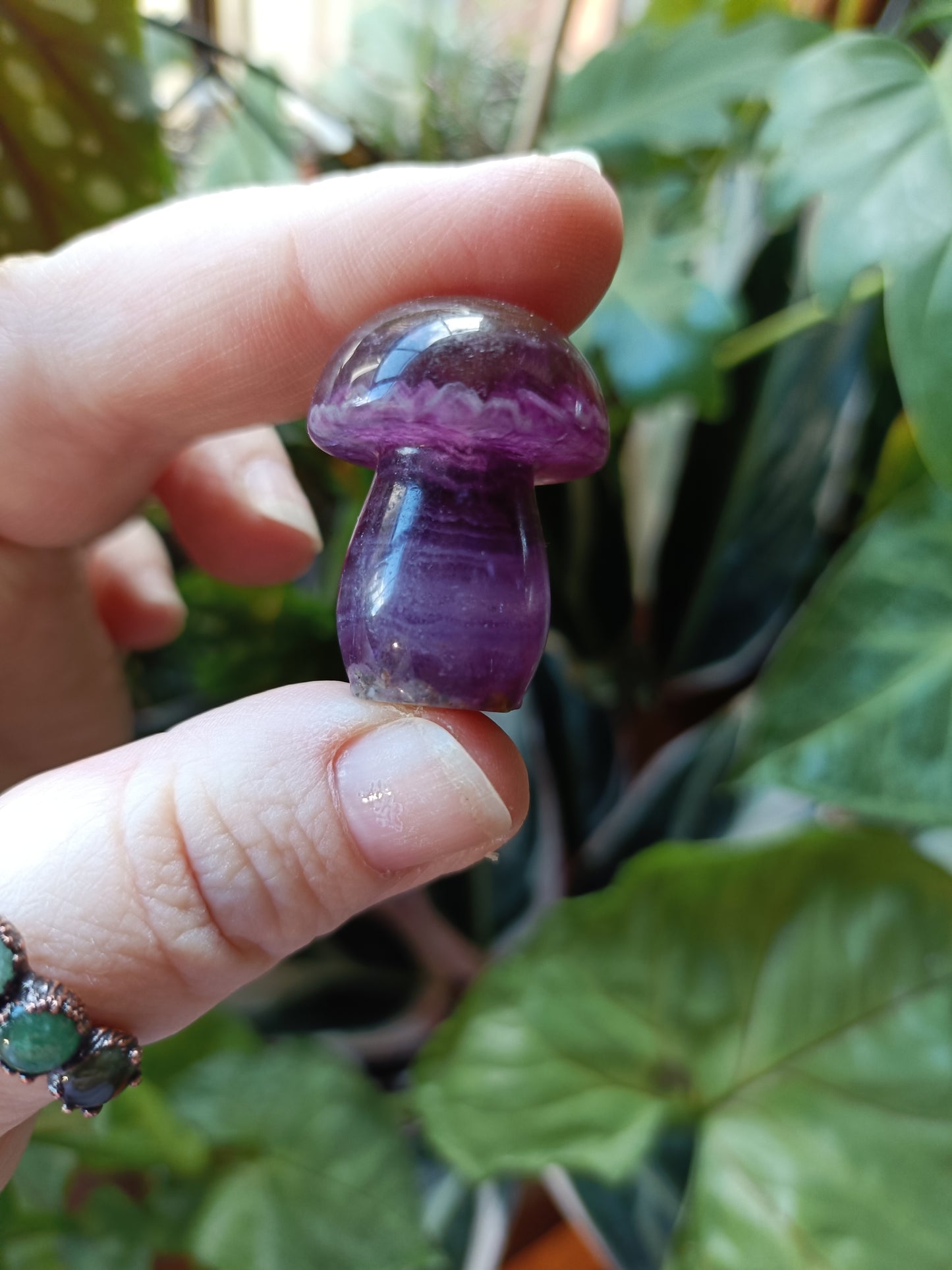 Mixed Fluorite Mushrooms - 23g
