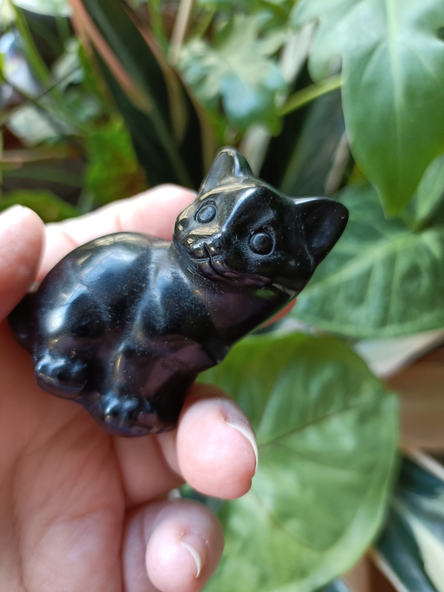 Black Obsidian Sitting Cat - 100g