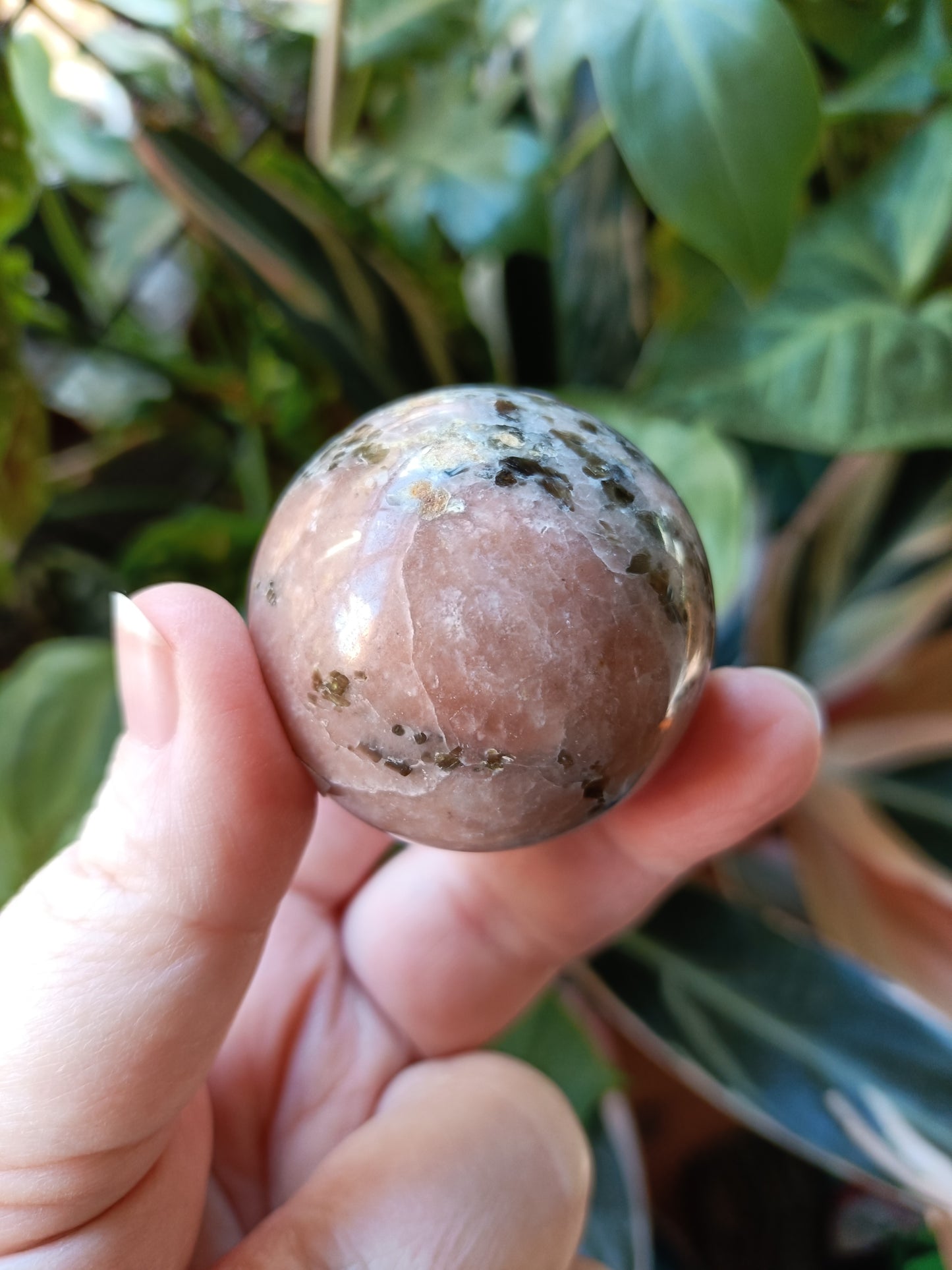 Plum Blossom 'Jade' - 122g