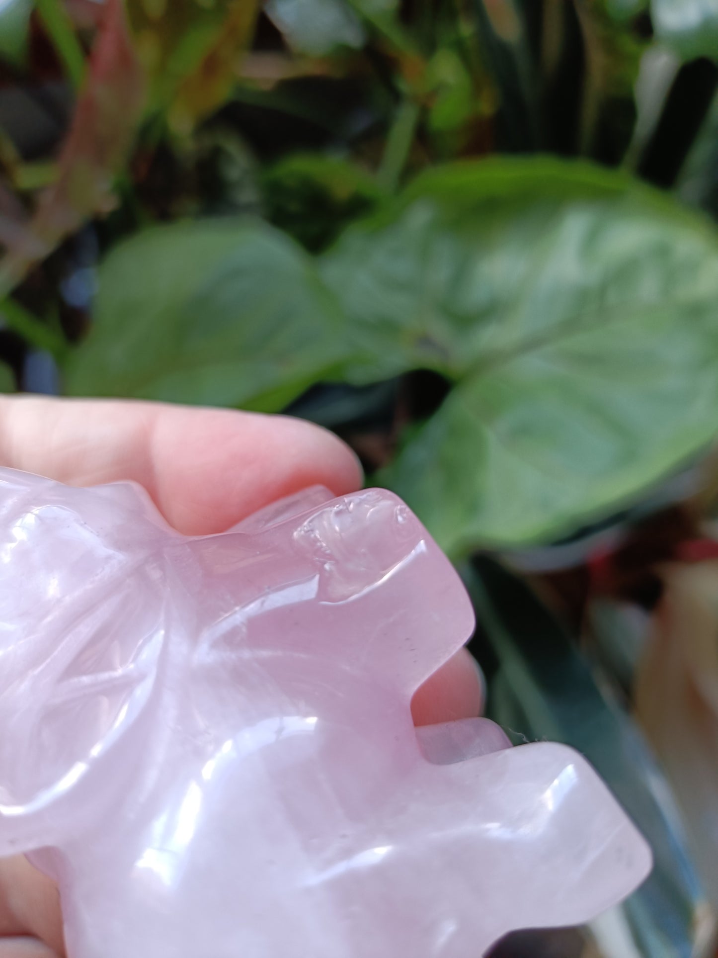 Rose Quartz Elephant (DAMAGED) - 97g