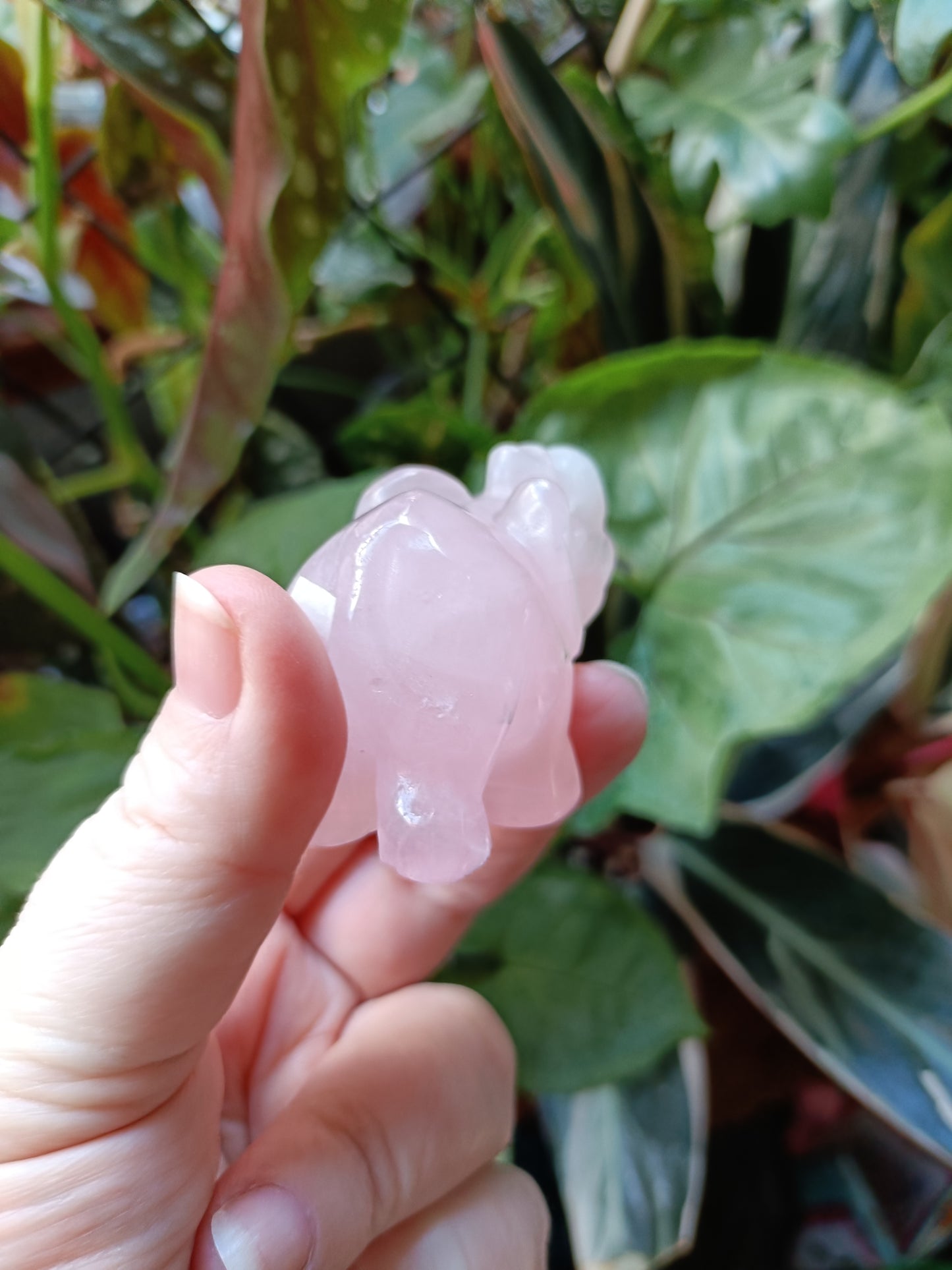 Rose Quartz Elephant - 94g