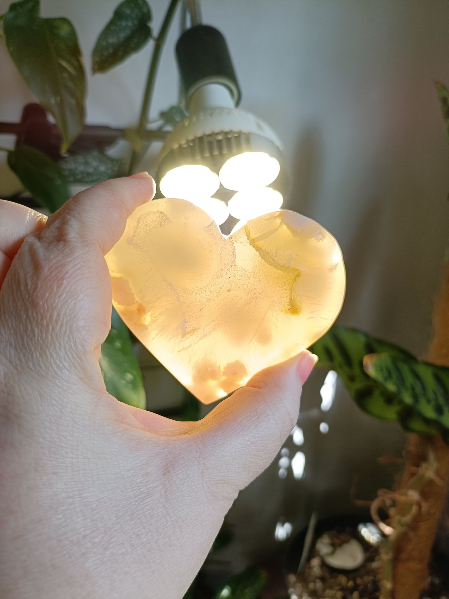 Pink Flower Agate Heart - 150g