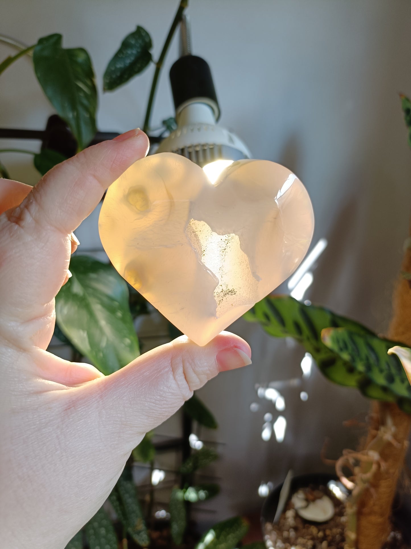 Pink Flower Agate Heart - 132g