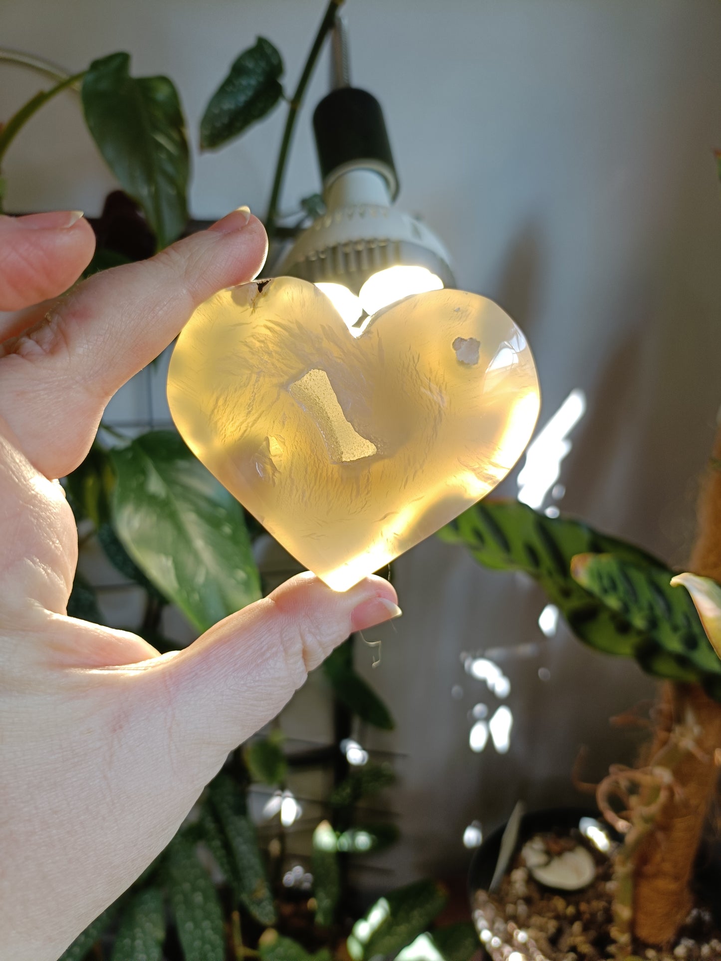 Pink Flower Agate Heart - 156g