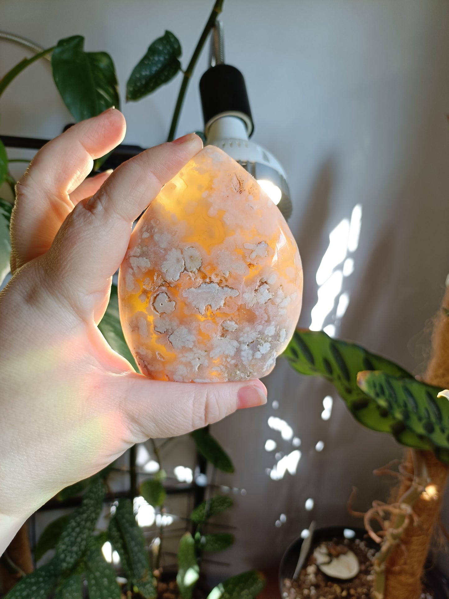 Pink Flower Agate Teardrop Freeform - 331g