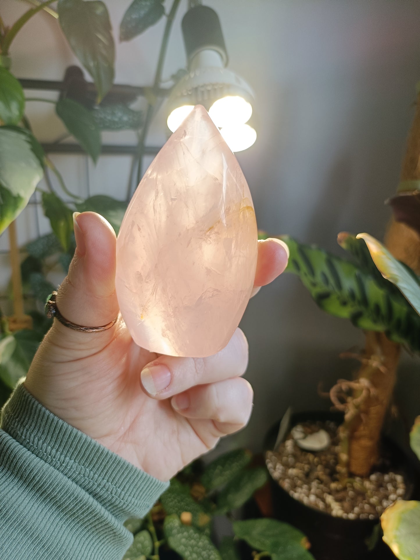 Rose Quartz & Golden Healer Teardrop Freeform - 239g