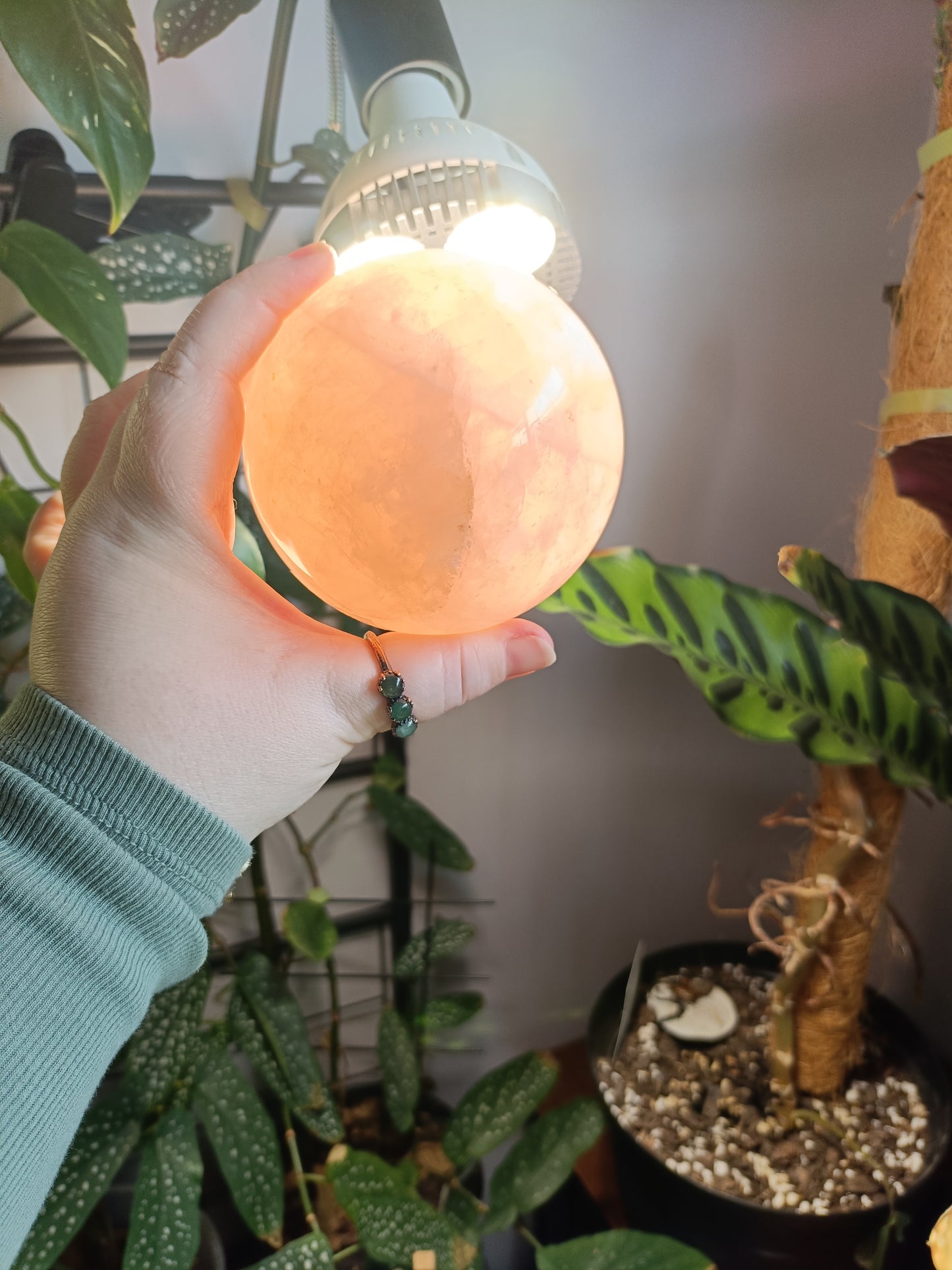 Rose Quartz Sphere - 1164g