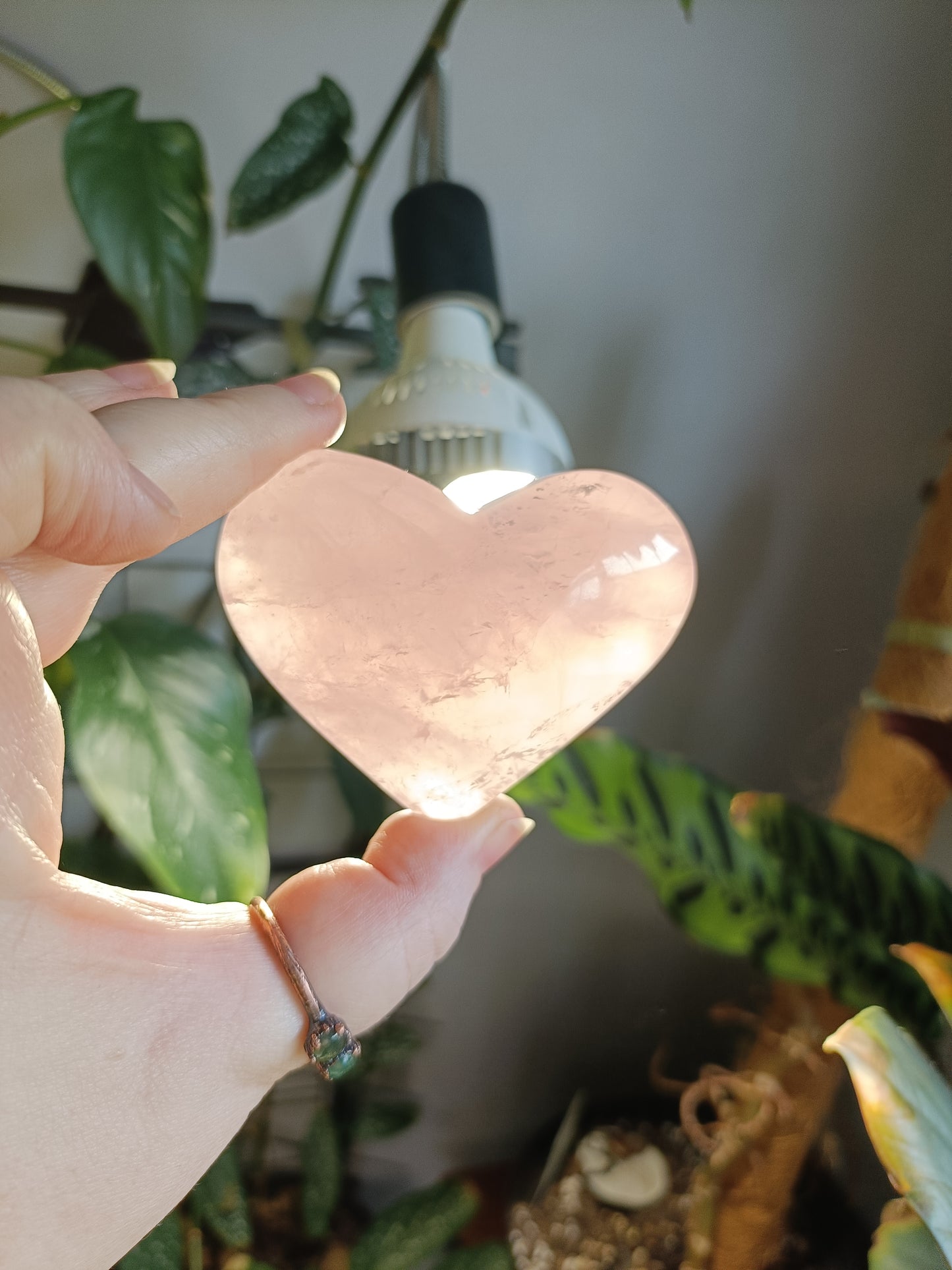Rose Quartz Heart - 212g