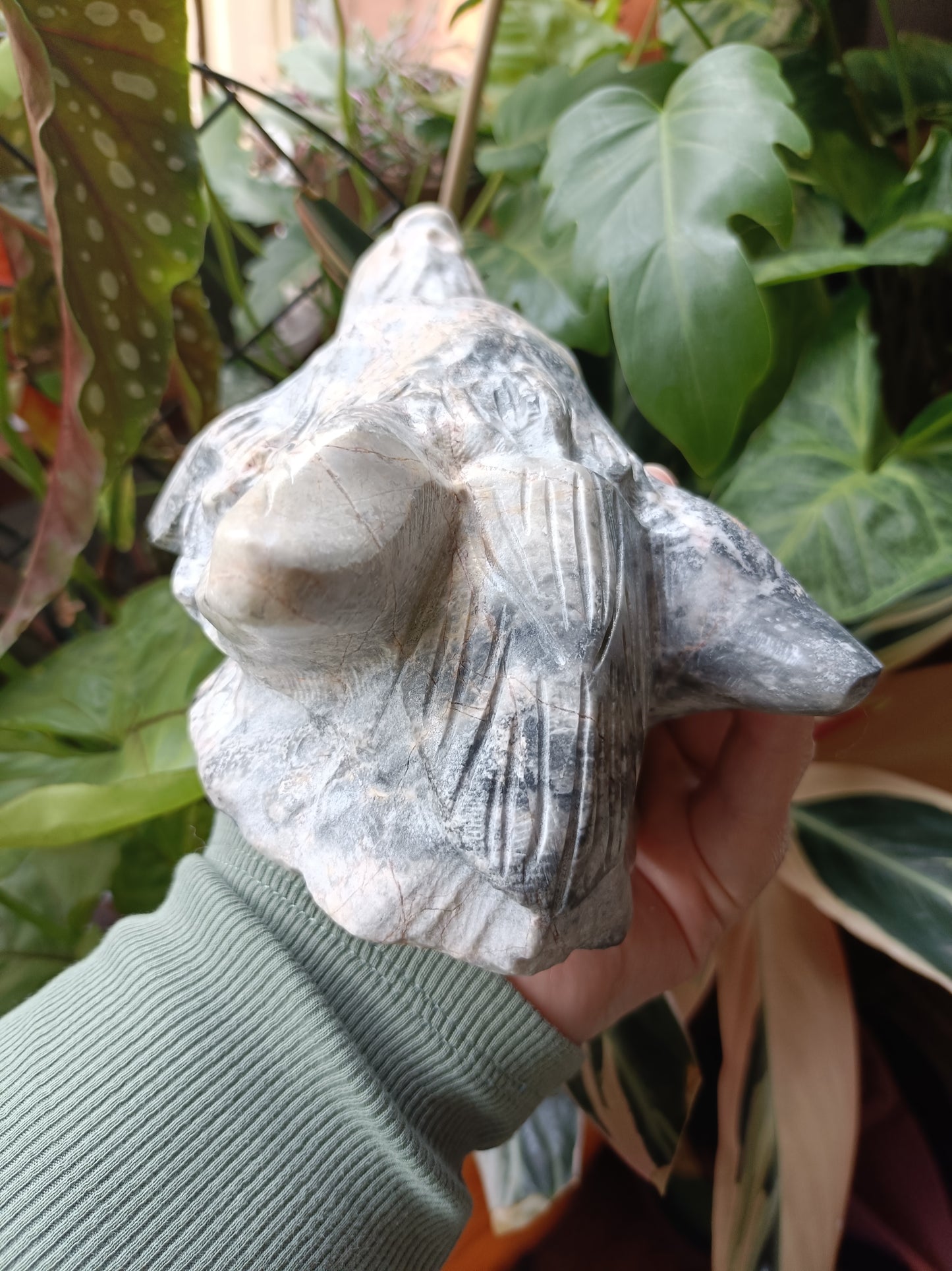 Picasso Jasper Wolf Head Carving - 1631g