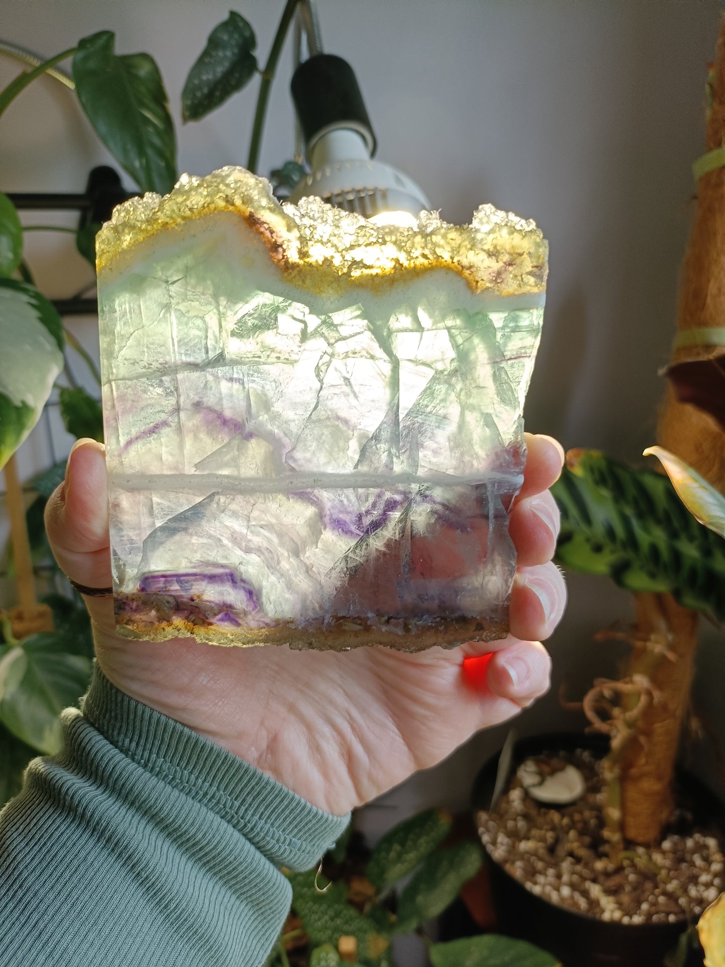 Raw Edge Fluorite Polished Slab - 247g