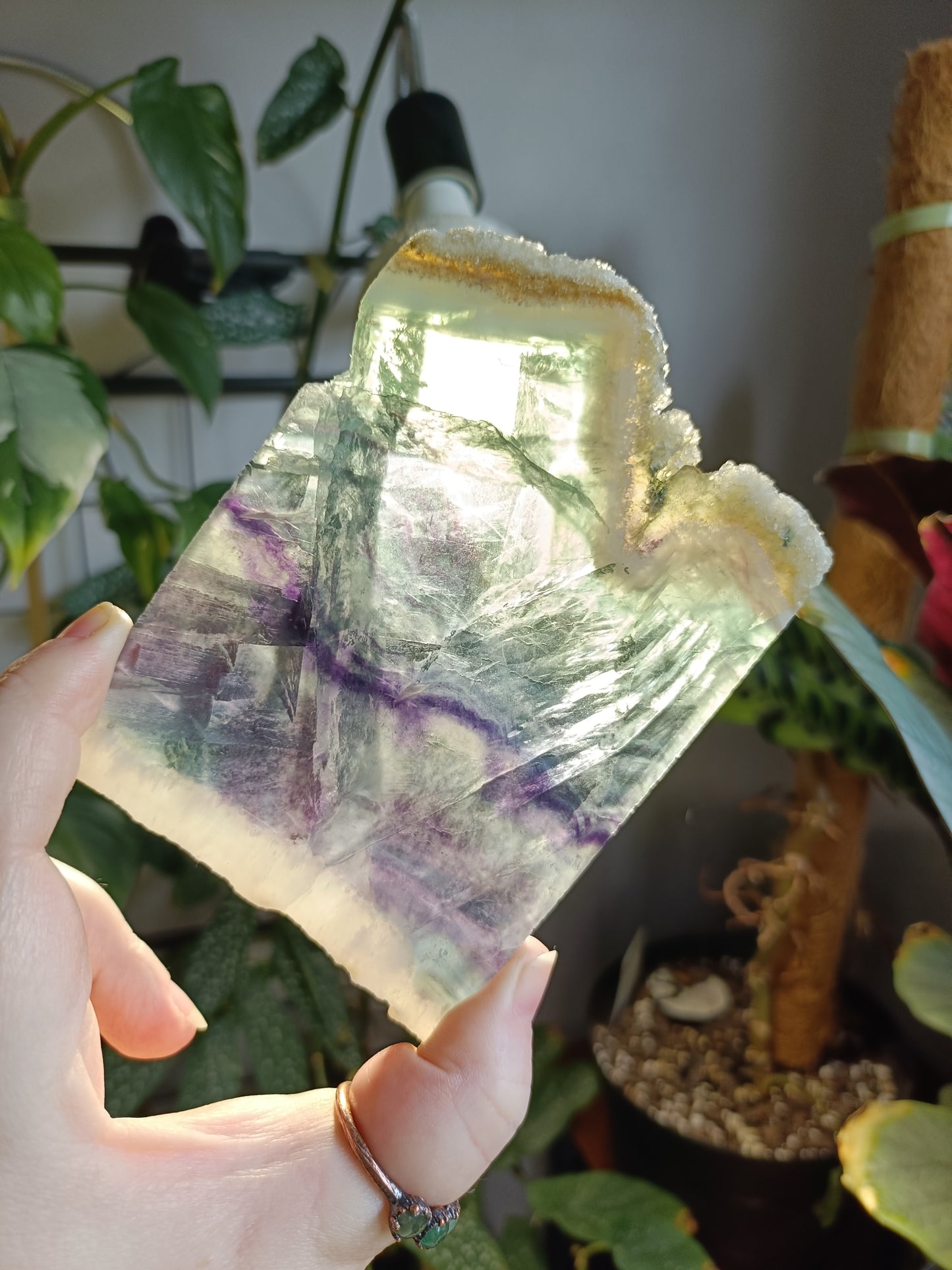 Raw Edge Fluorite Polished Slab - 262g