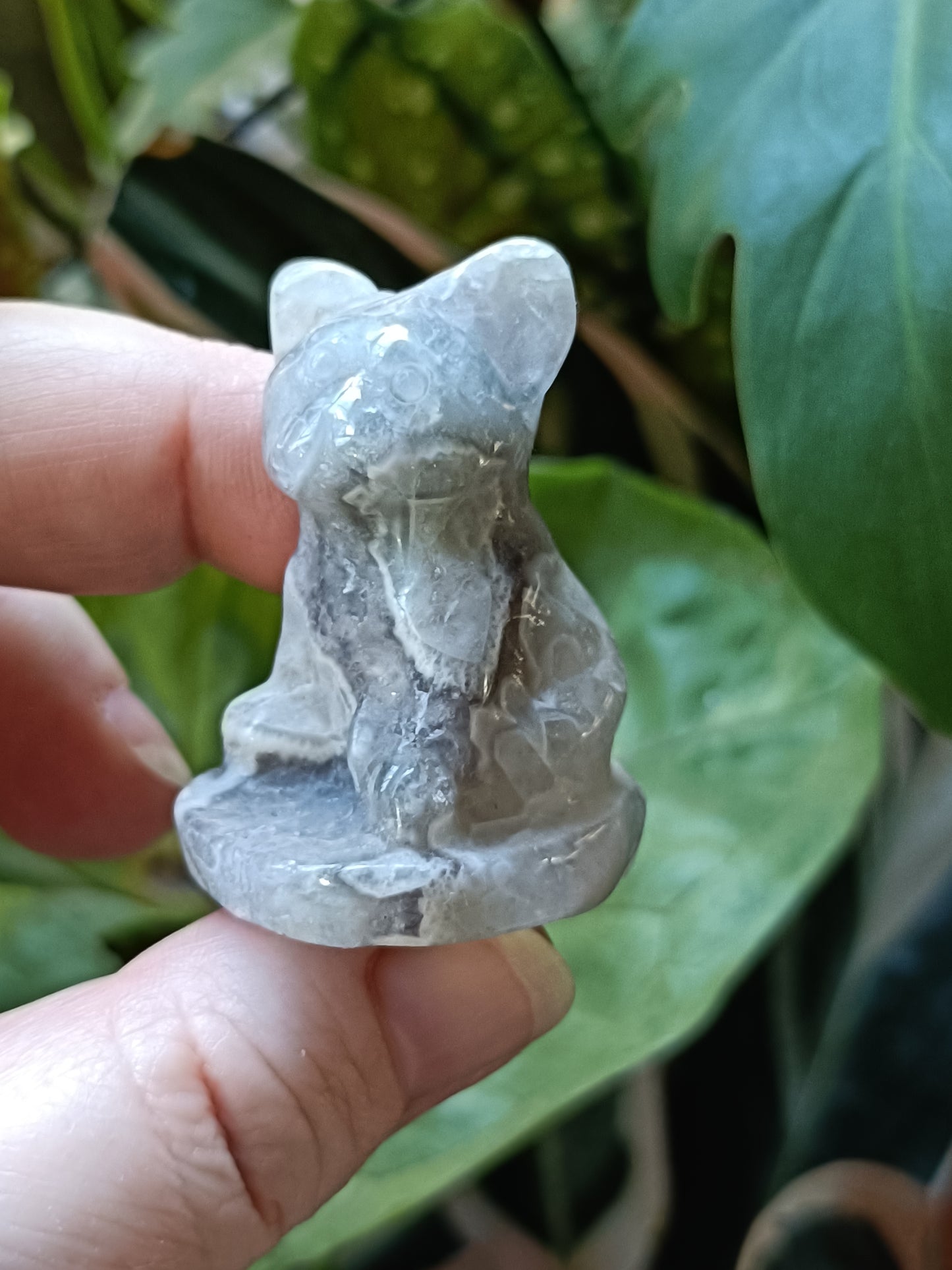 Agate Mini French Bulldog Carving - 30-35g