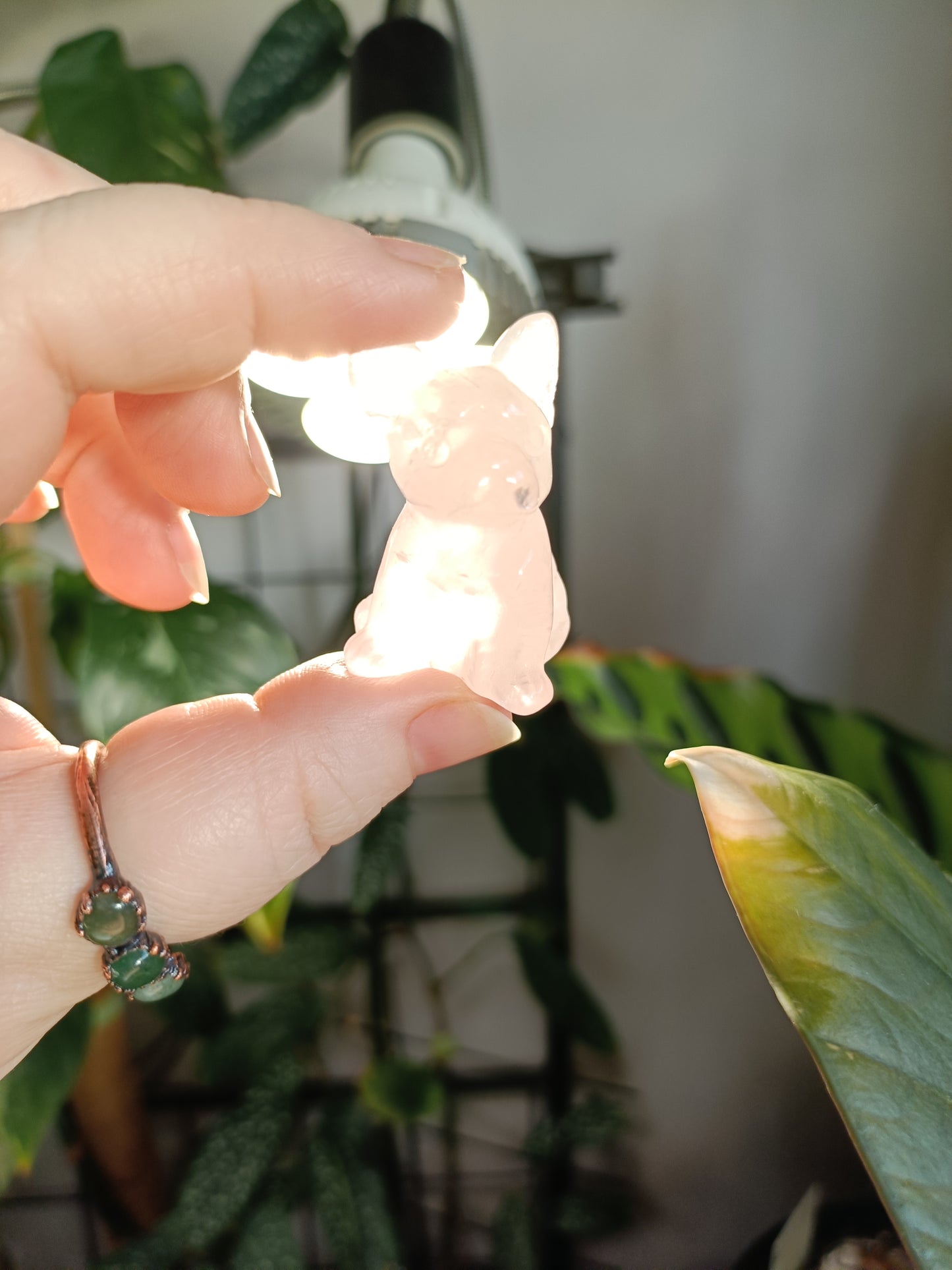 Rose Quartz Mini French Bulldog Carving - 25-30g