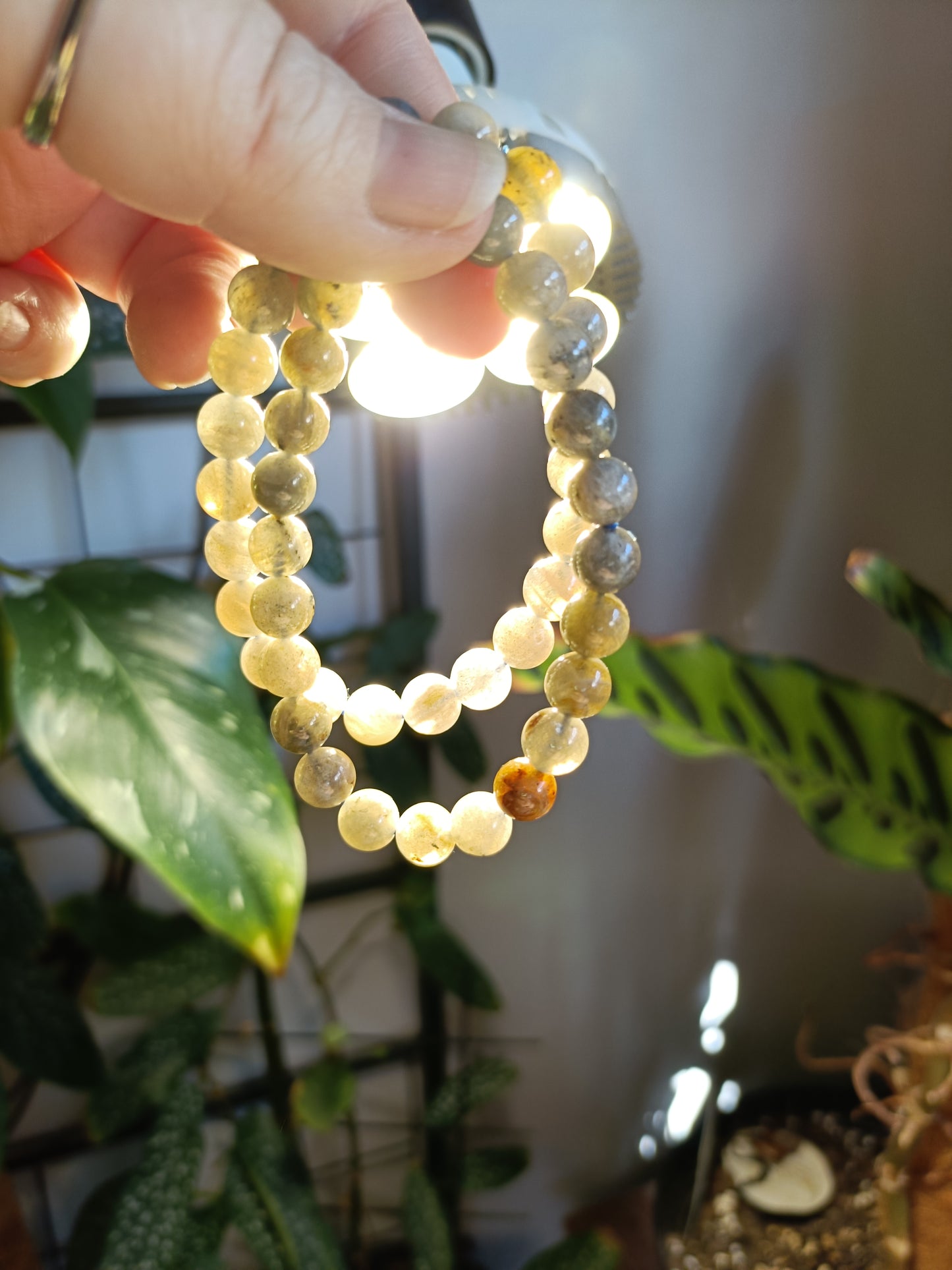 Labradorite Round Beaded Stretch Bracelet - 8mm