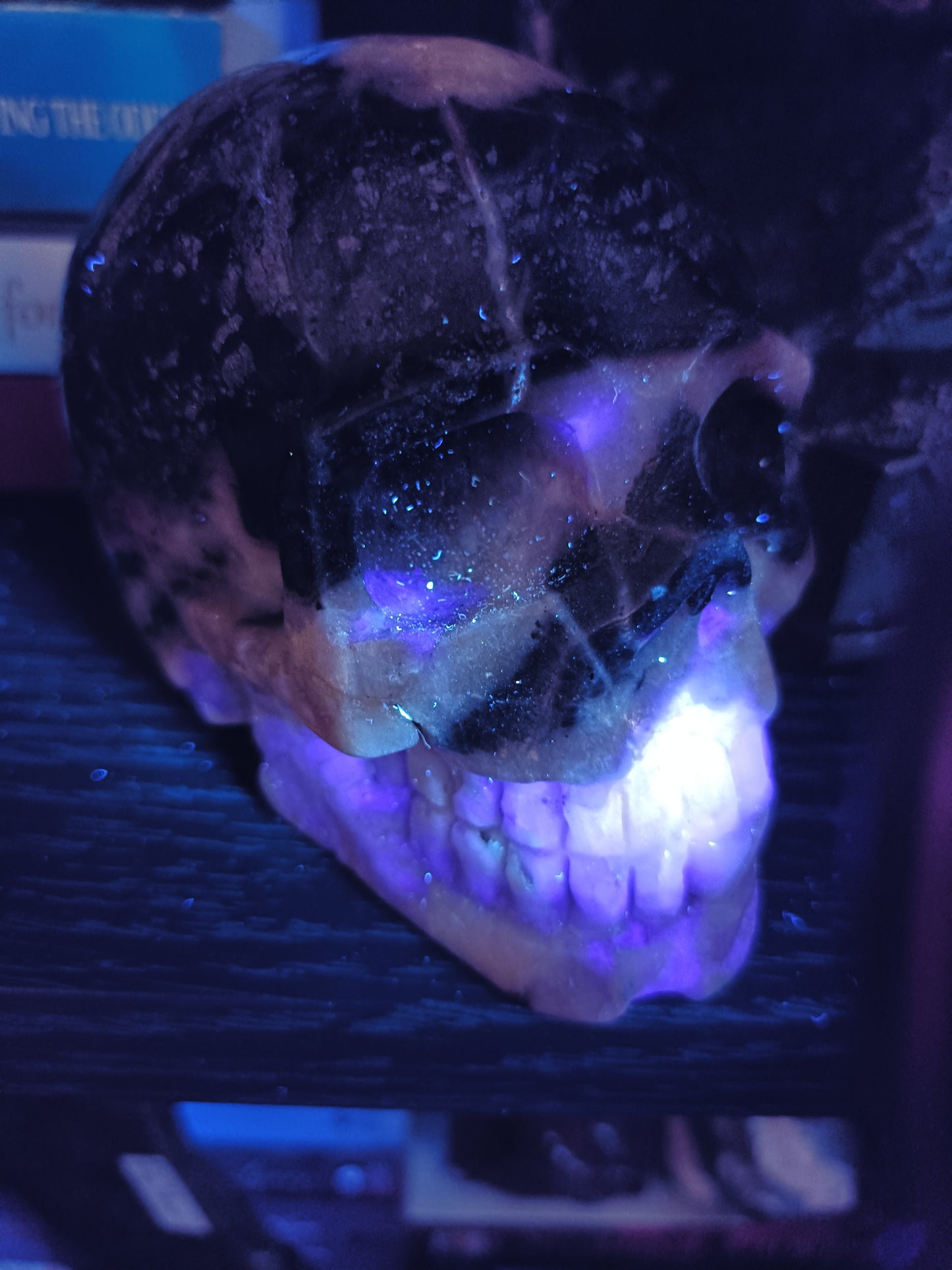 Blue Quartzite Skull Carving - 900g