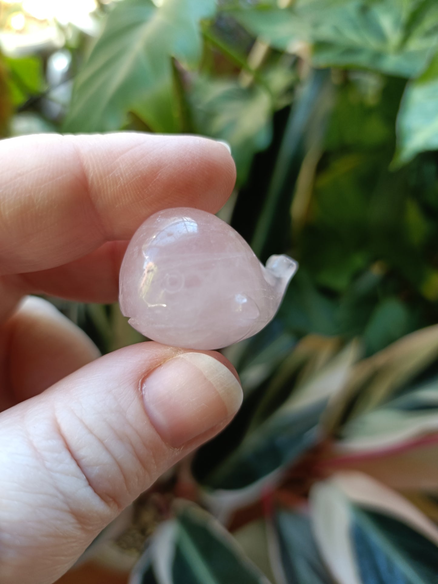 Mixed Stone Mini Whale Carving - 15g