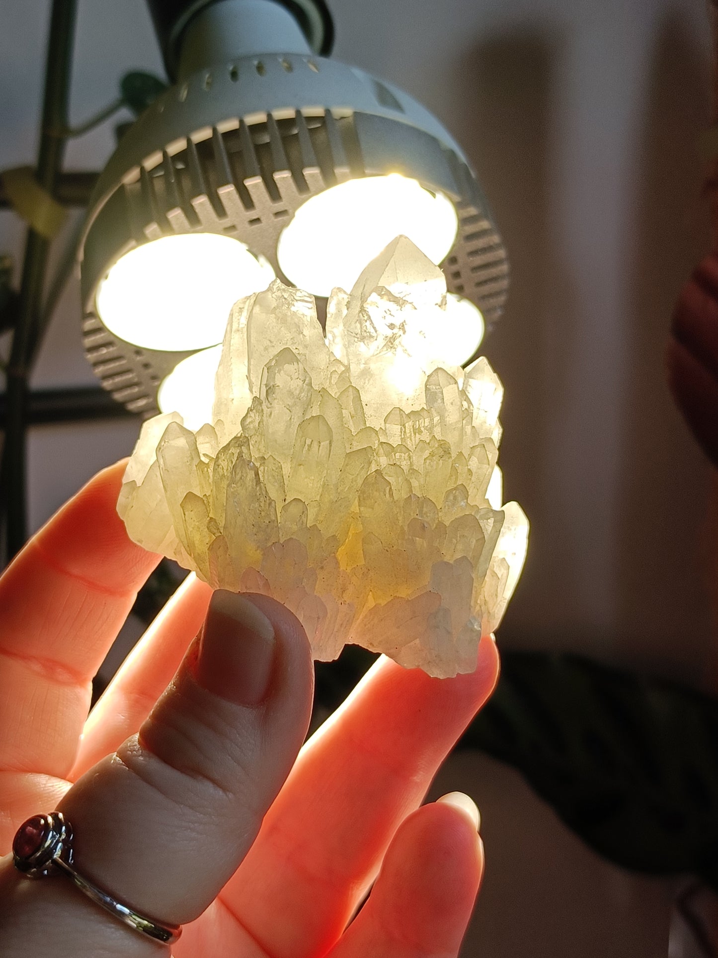 'Abundance' Quartz Raw Specimen - 116g