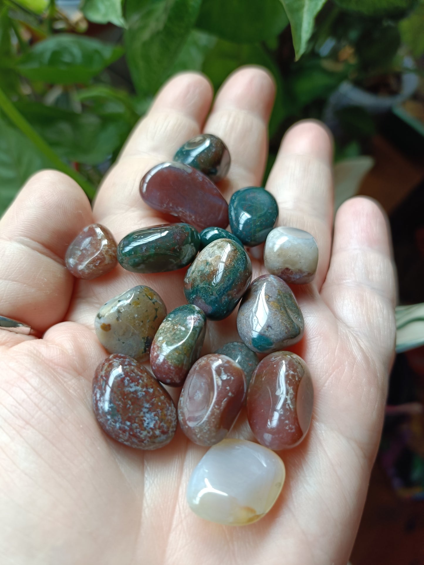 Ocean Jasper SMALL Tumbles - 50g