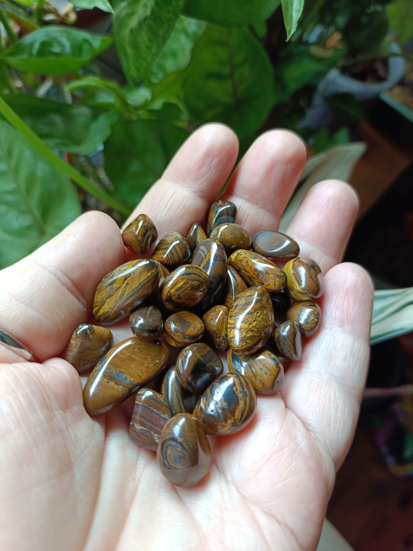 Tigers Eye MINI Tumbles - 50g