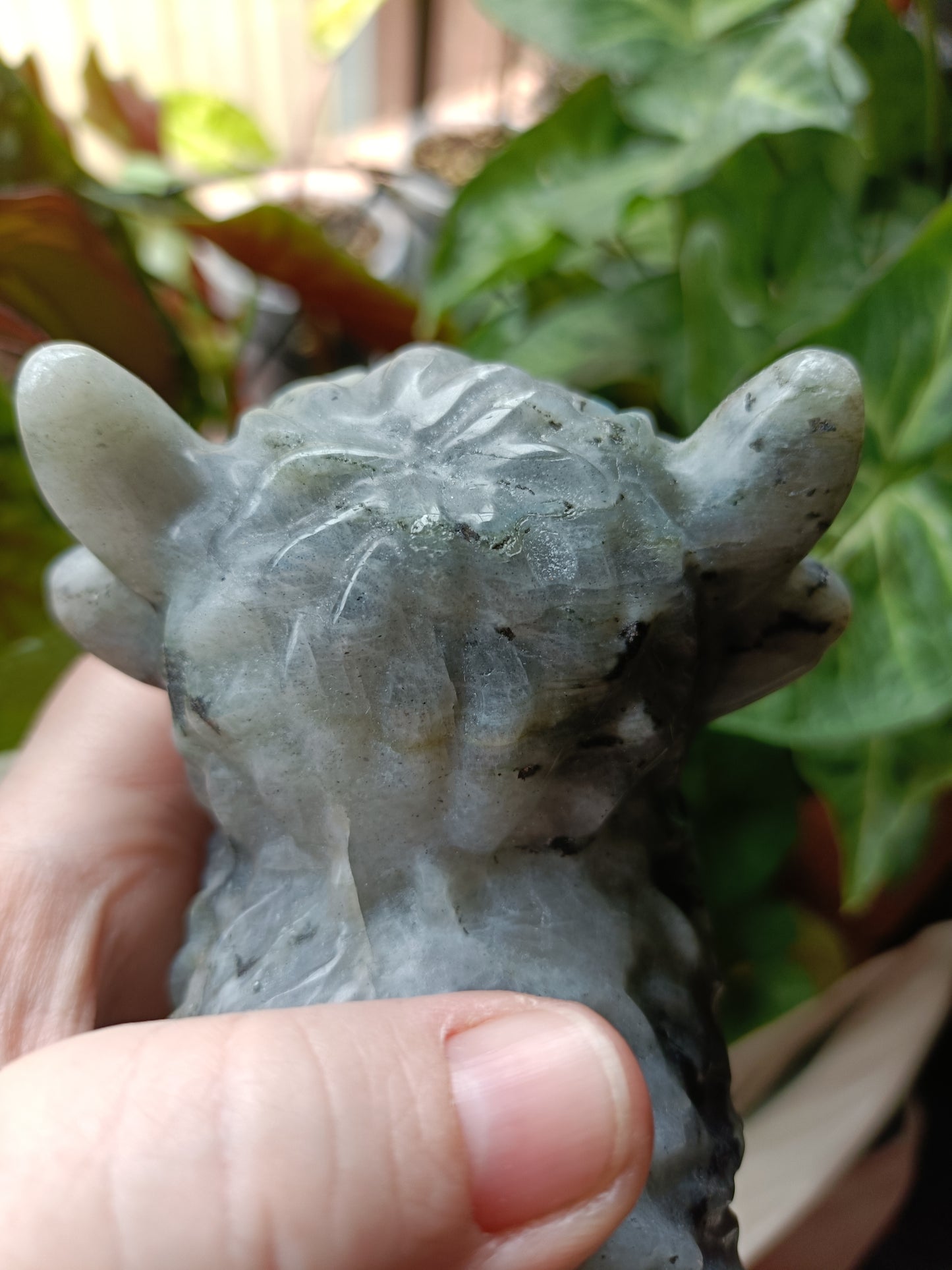 Labradorite Highland Cow Carving - 922g