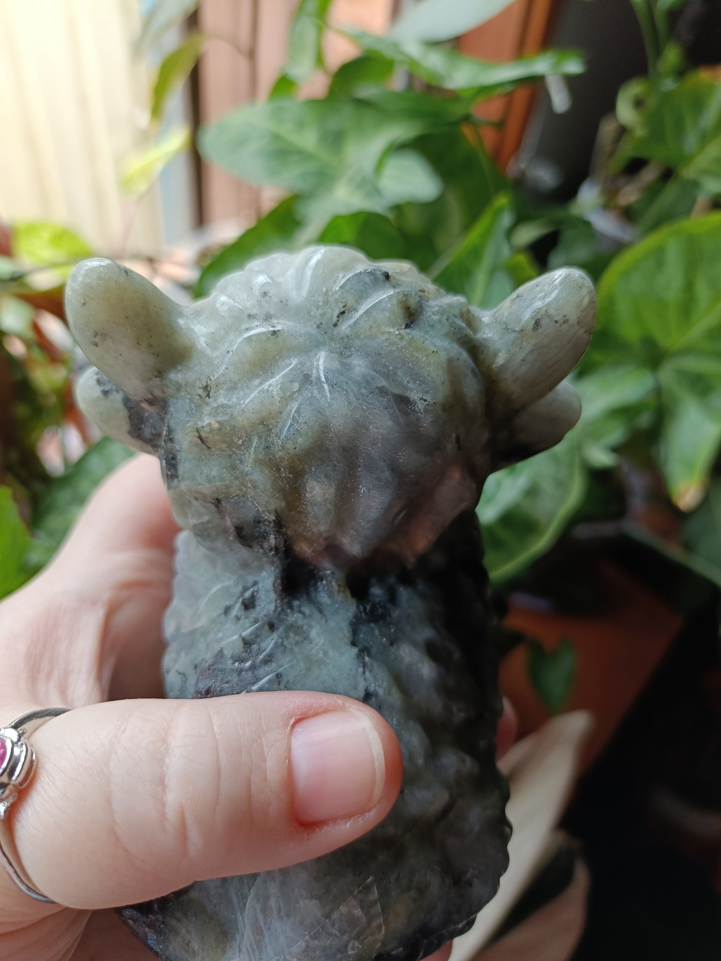 Labradorite Highland Cow Carving - 998g