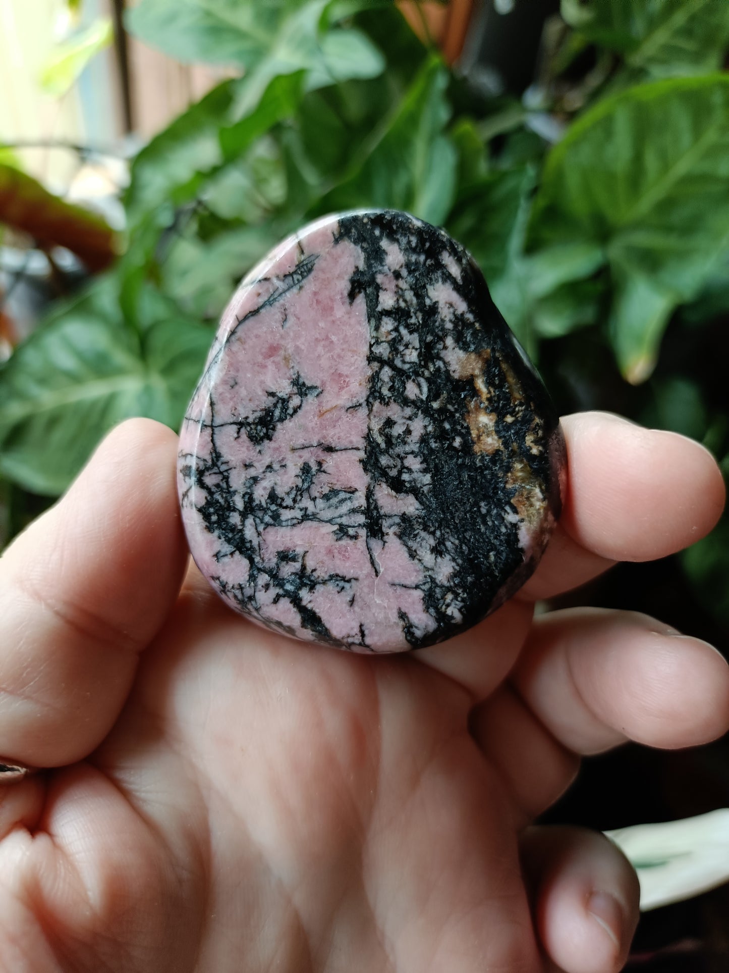 Rhodonite Sleeping Cat Carving - 152g